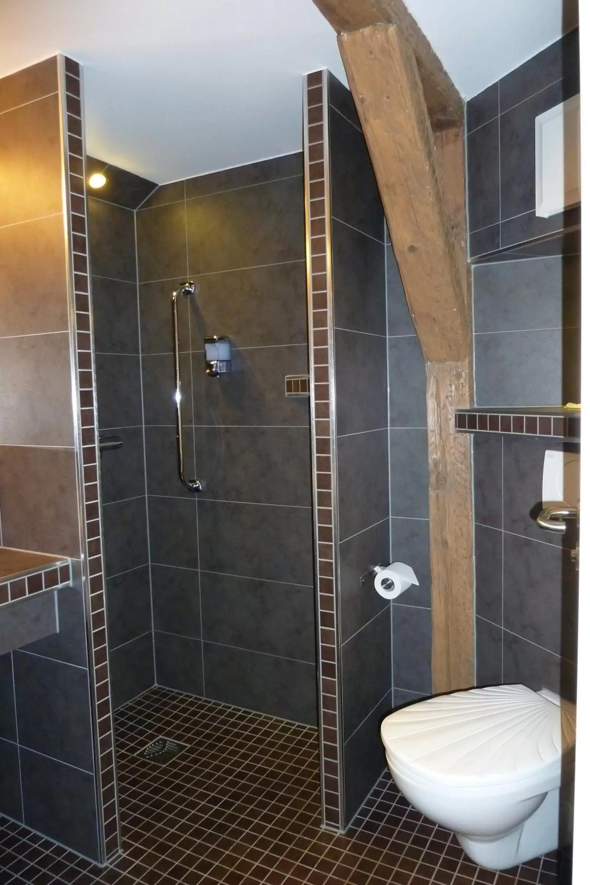 Shower, Bathroom in Hotel Goldener Stern