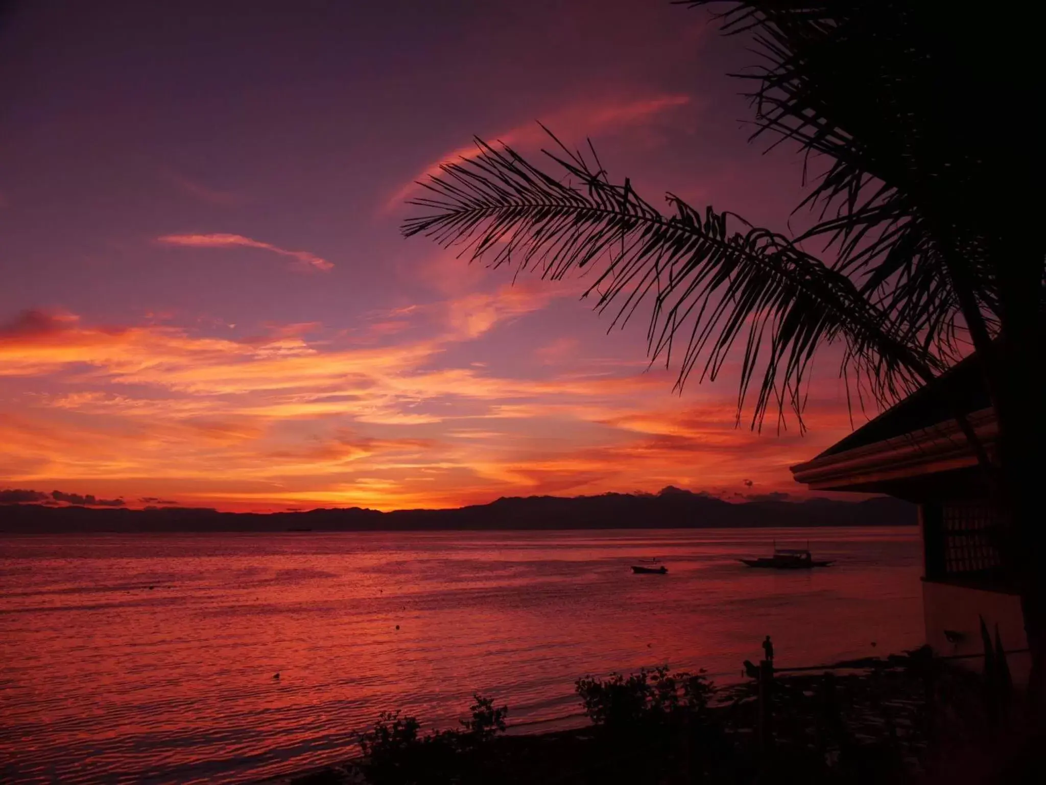 Spring, Natural Landscape in Quo Vadis Dive Resort