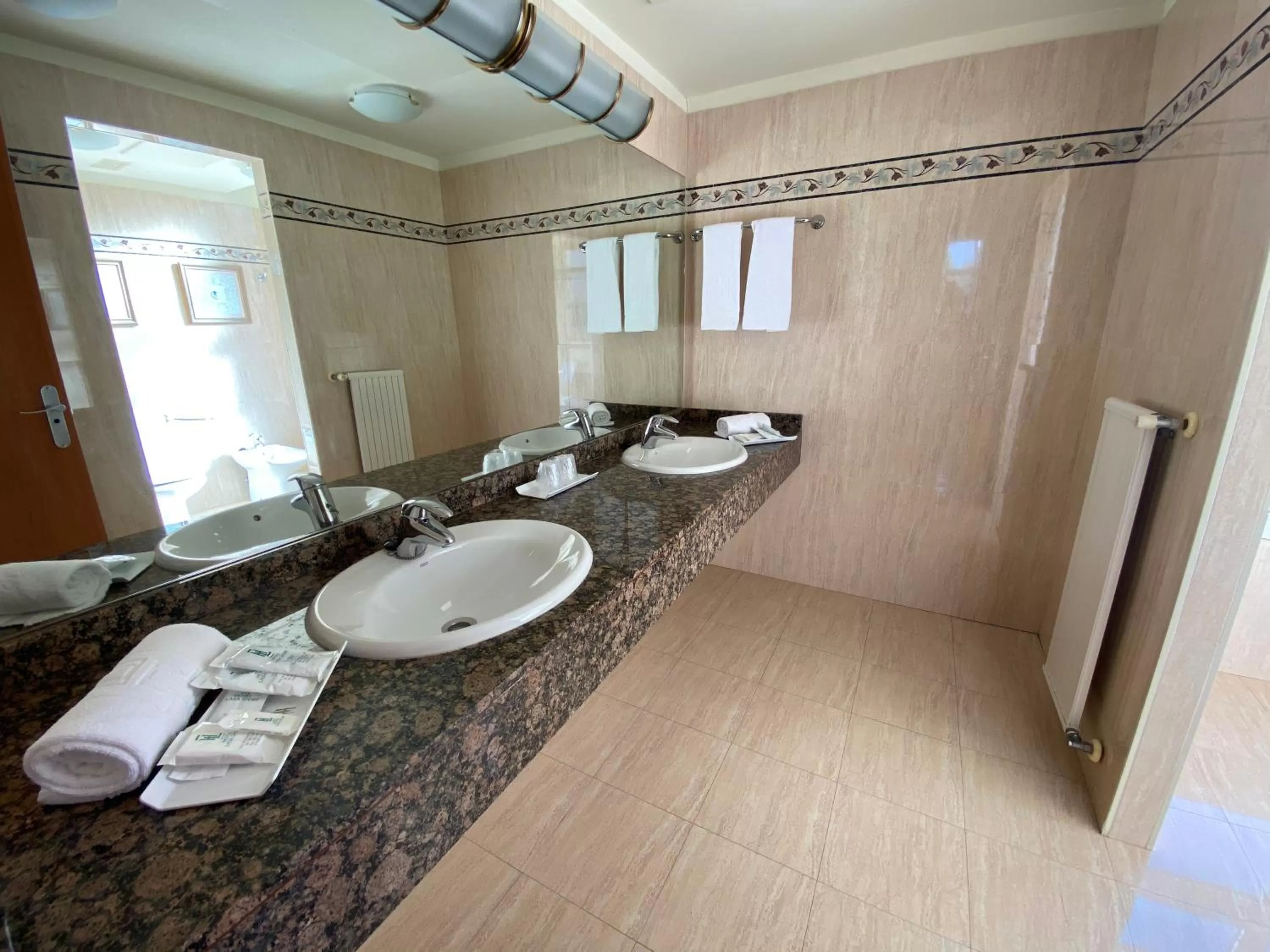 Bathroom in Hotel Lasa Sport