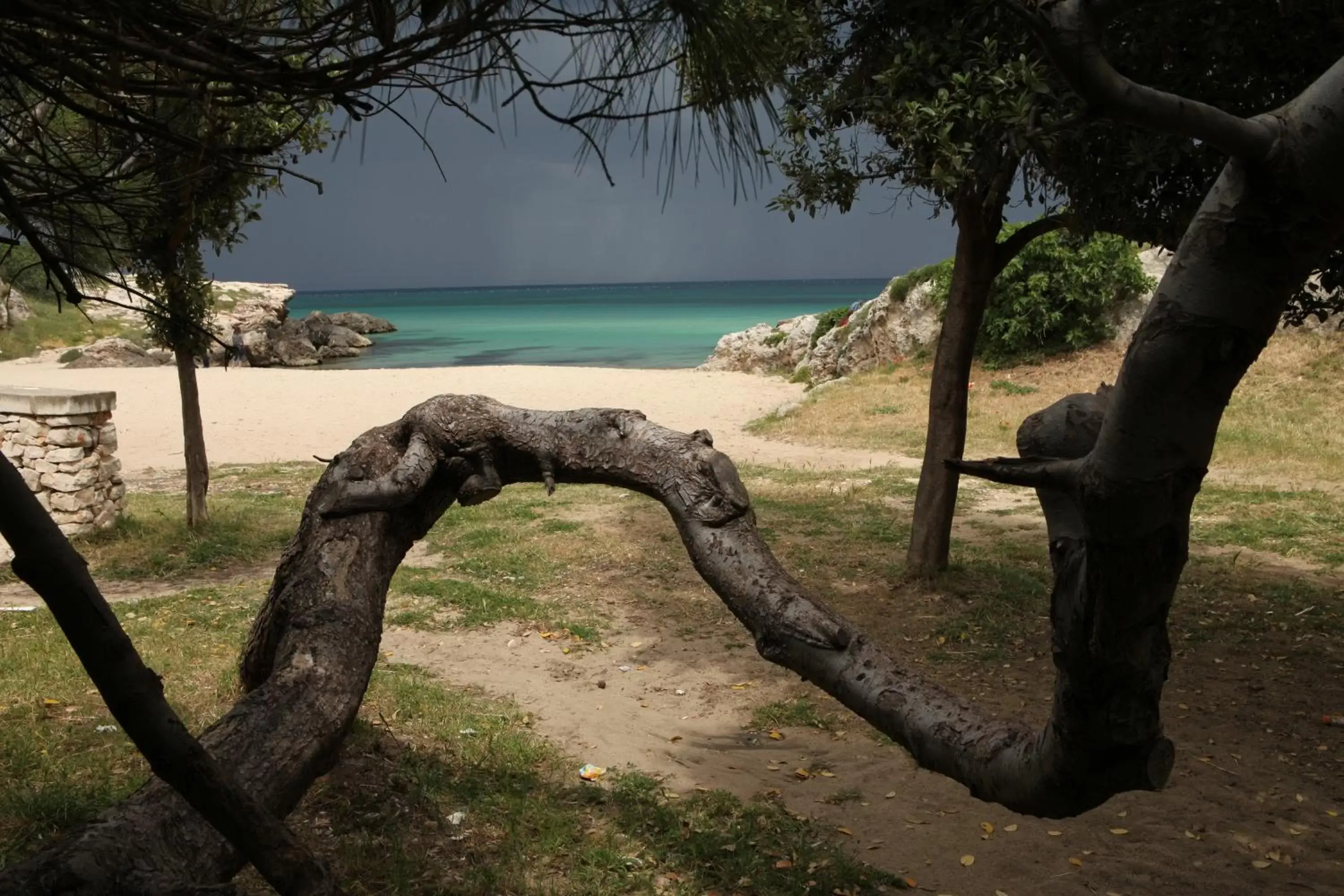 Natural landscape in Playa del Mar - Adults Only