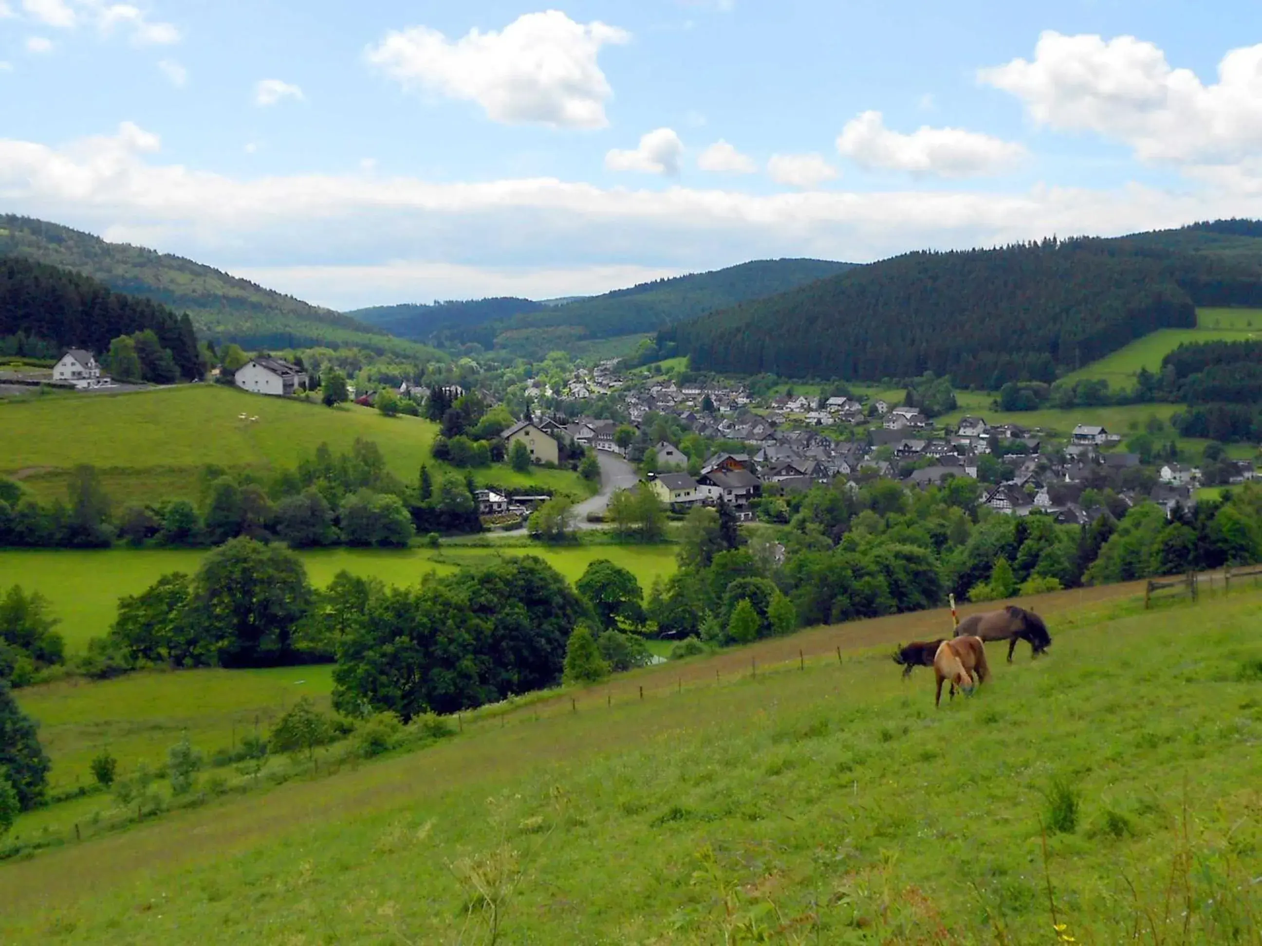 Natural landscape in Hotel Niedersfeld-Winterberg