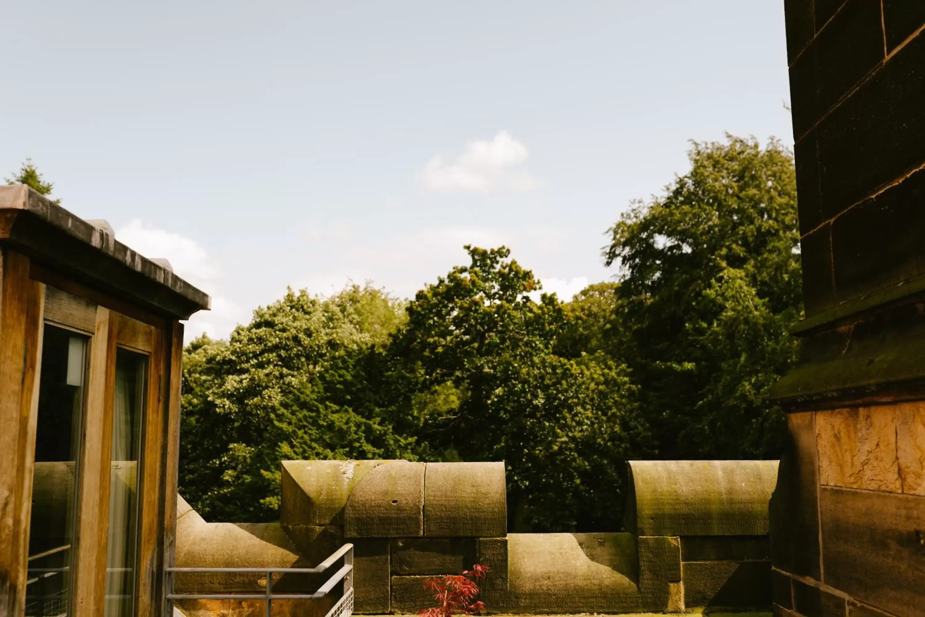 Garden view in Jesmond Dene House