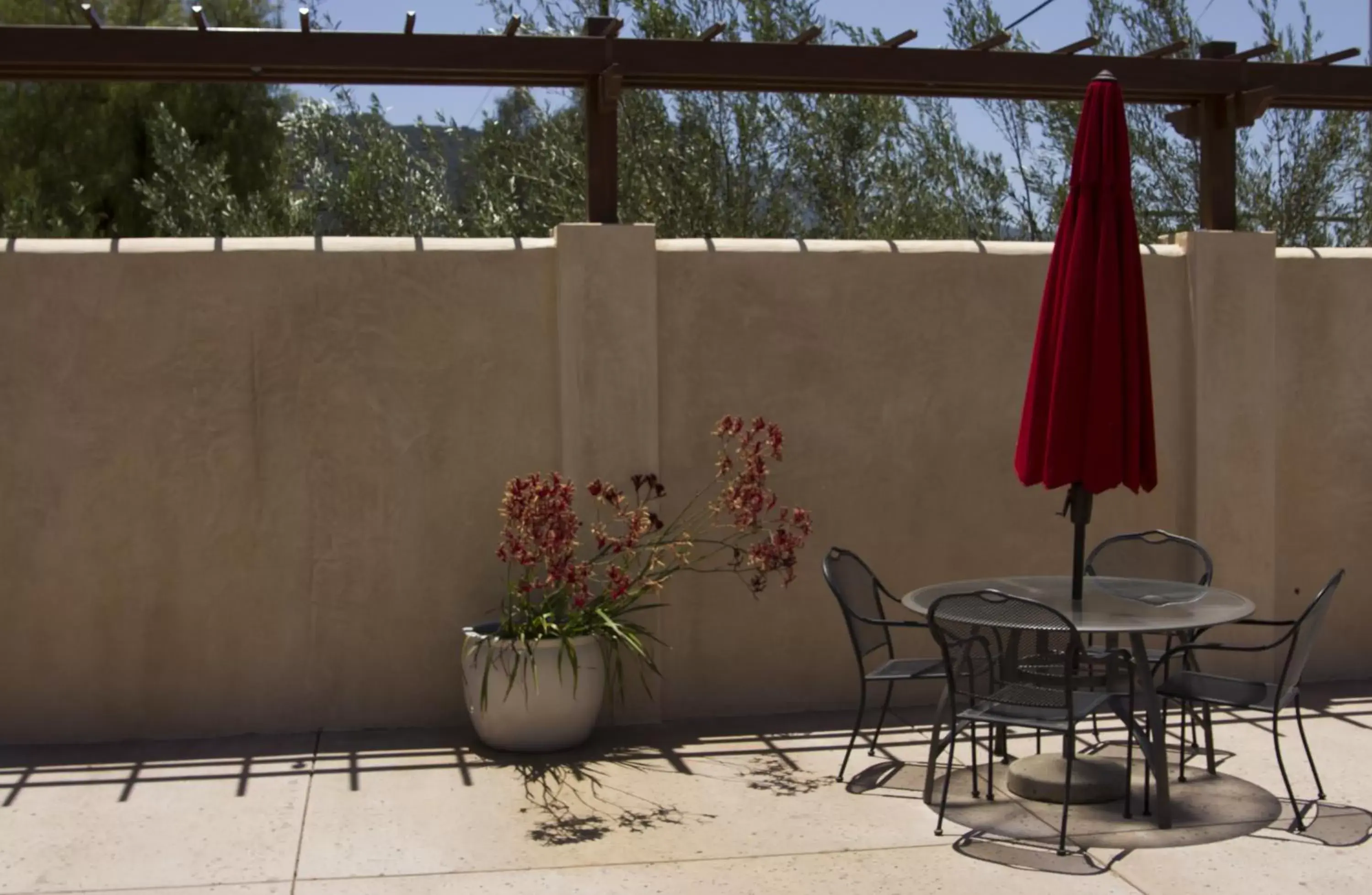 Swimming pool in Casa Ojai Inn