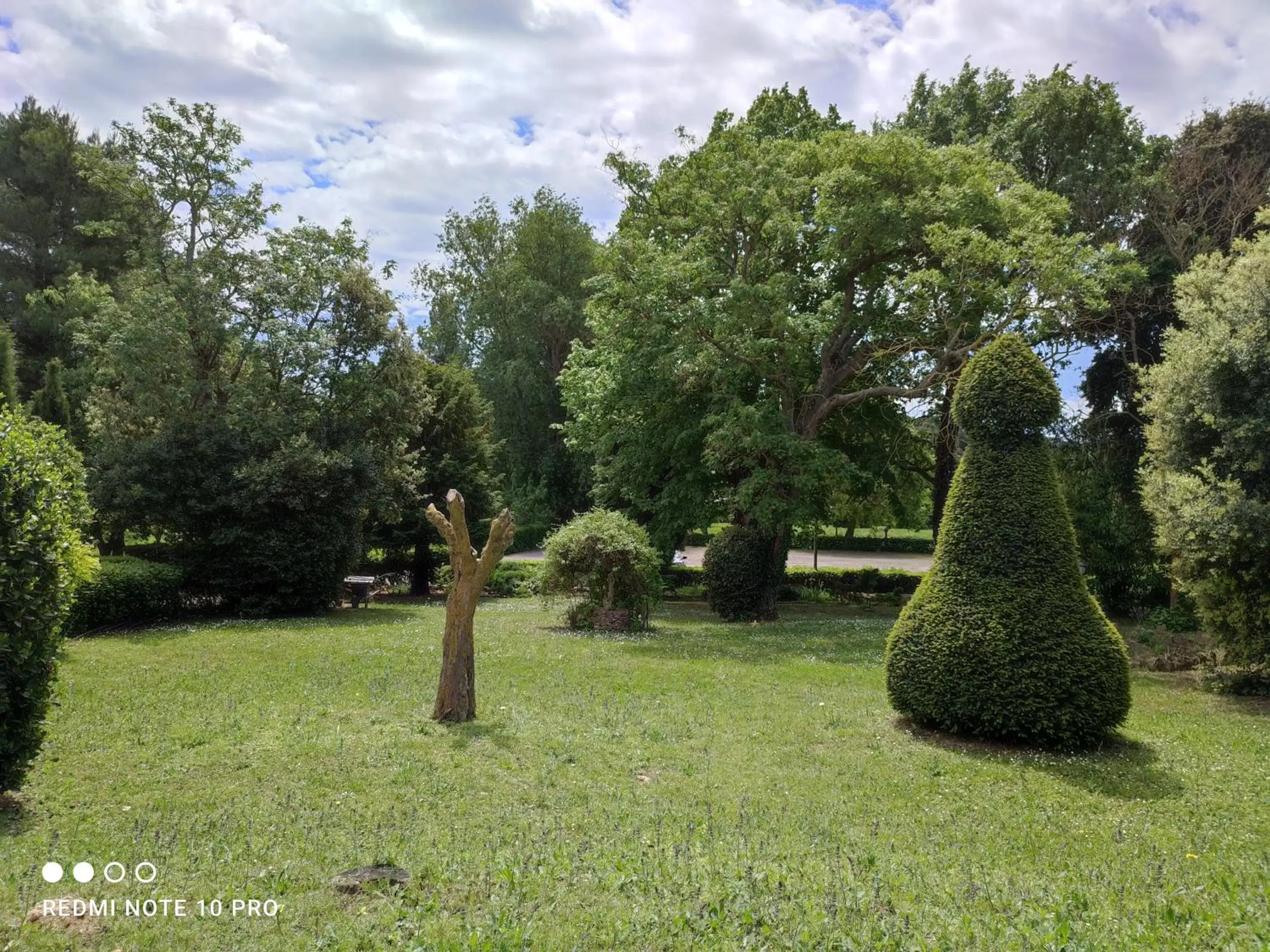 Garden in Château Saint-Martin