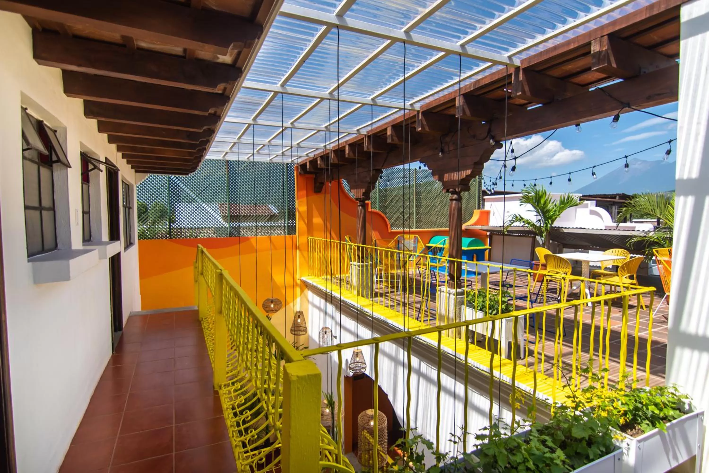 Balcony/Terrace in Why Not Hotel