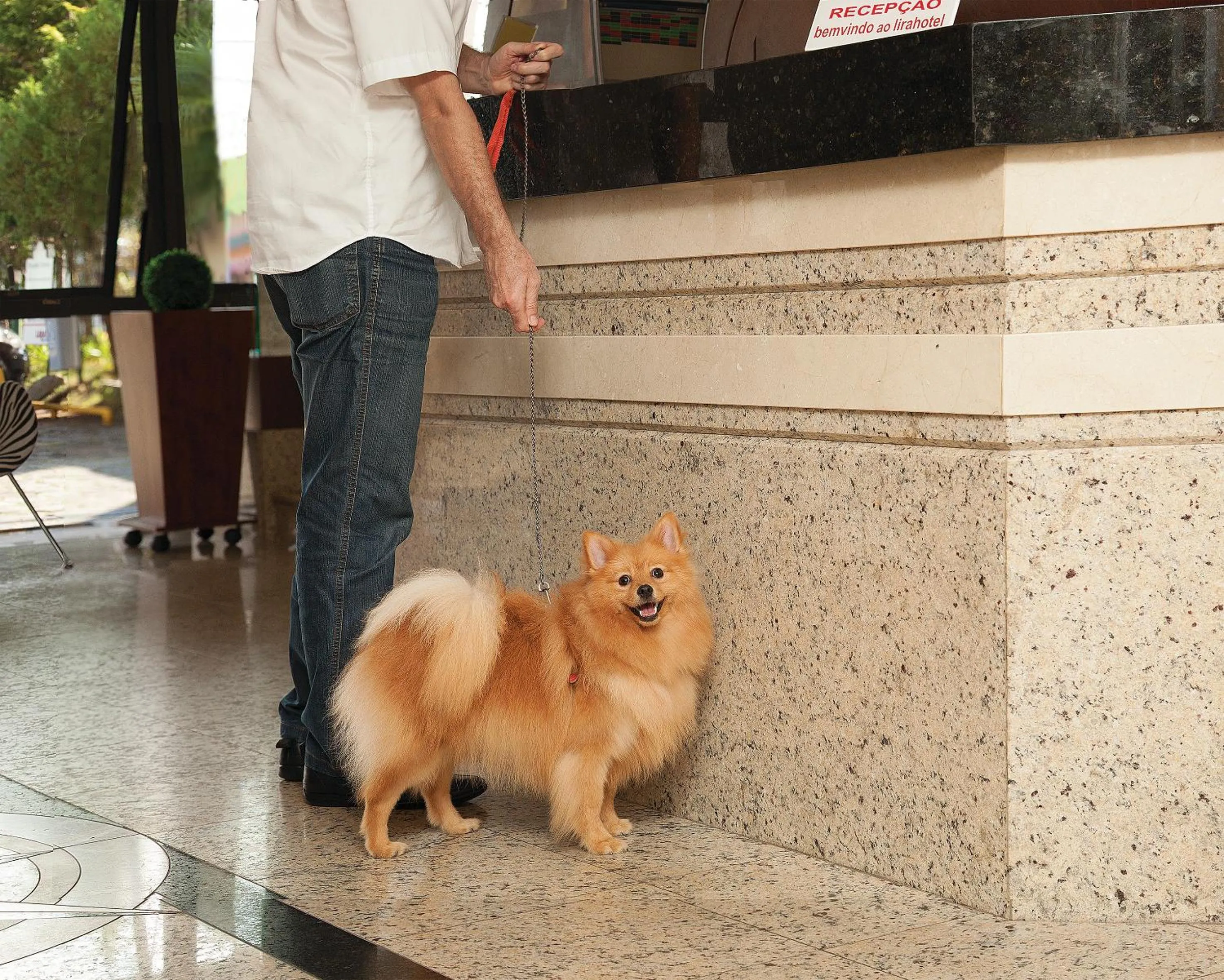 Animals in Lira Hotel