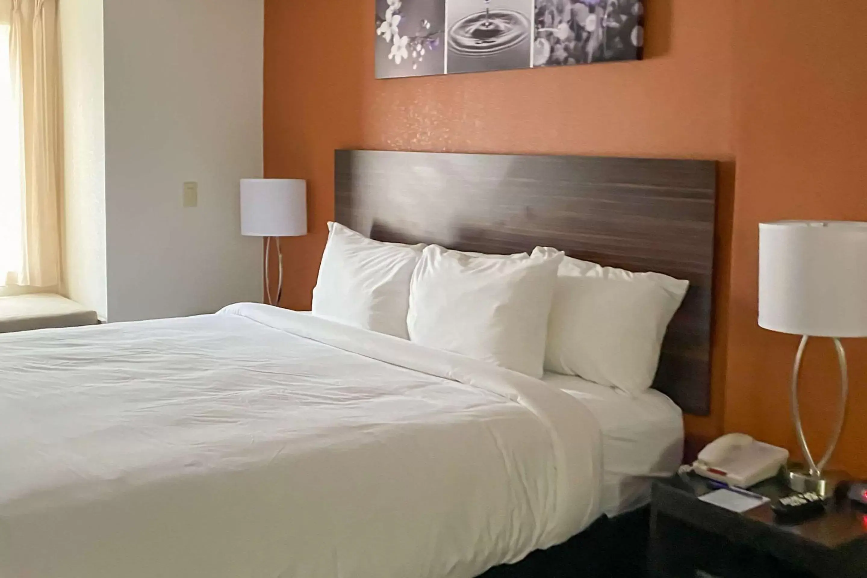 Standard Queen Room - Non-Smoking in Sleep Inn & Suites
