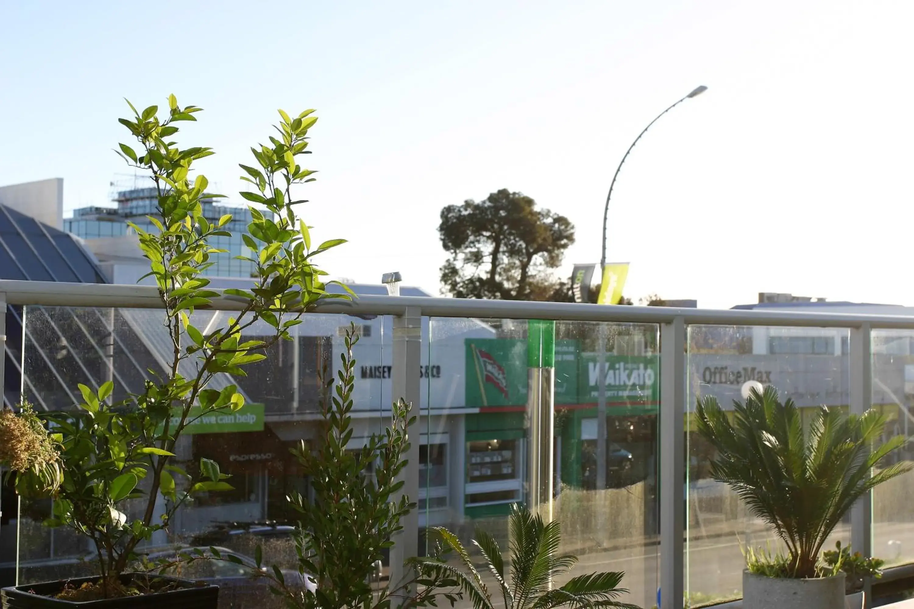 Property building in Backpackers Central Hamilton Property building in Backpackers Central Hamilton