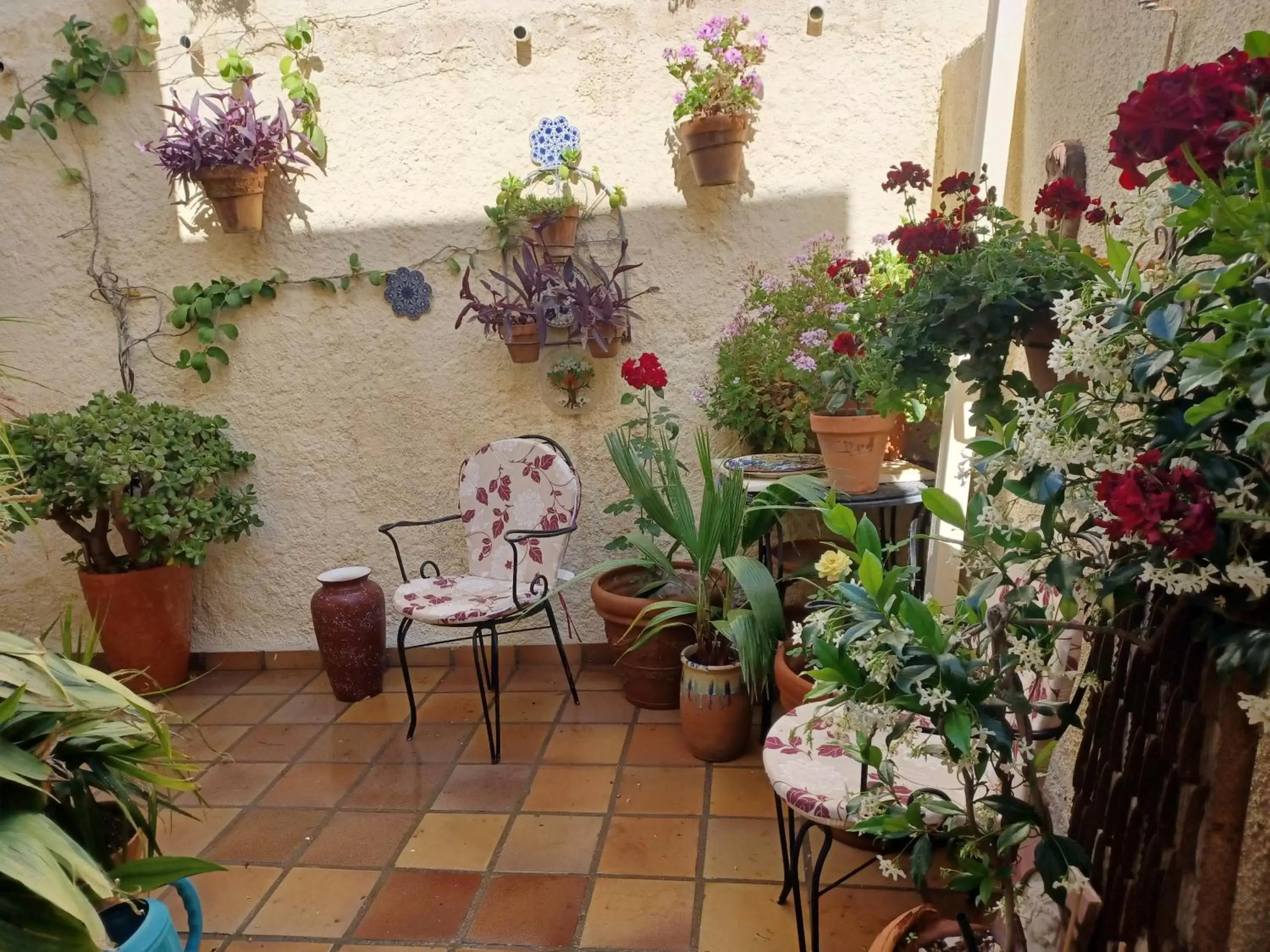 Patio in Casa Rural B&B Casamedico