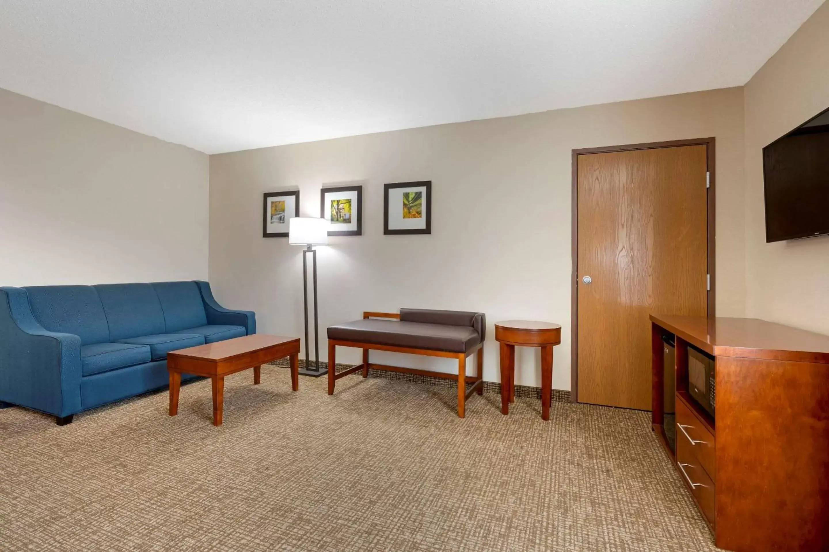 Photo of the whole room, Seating Area in Comfort Inn Anderson South