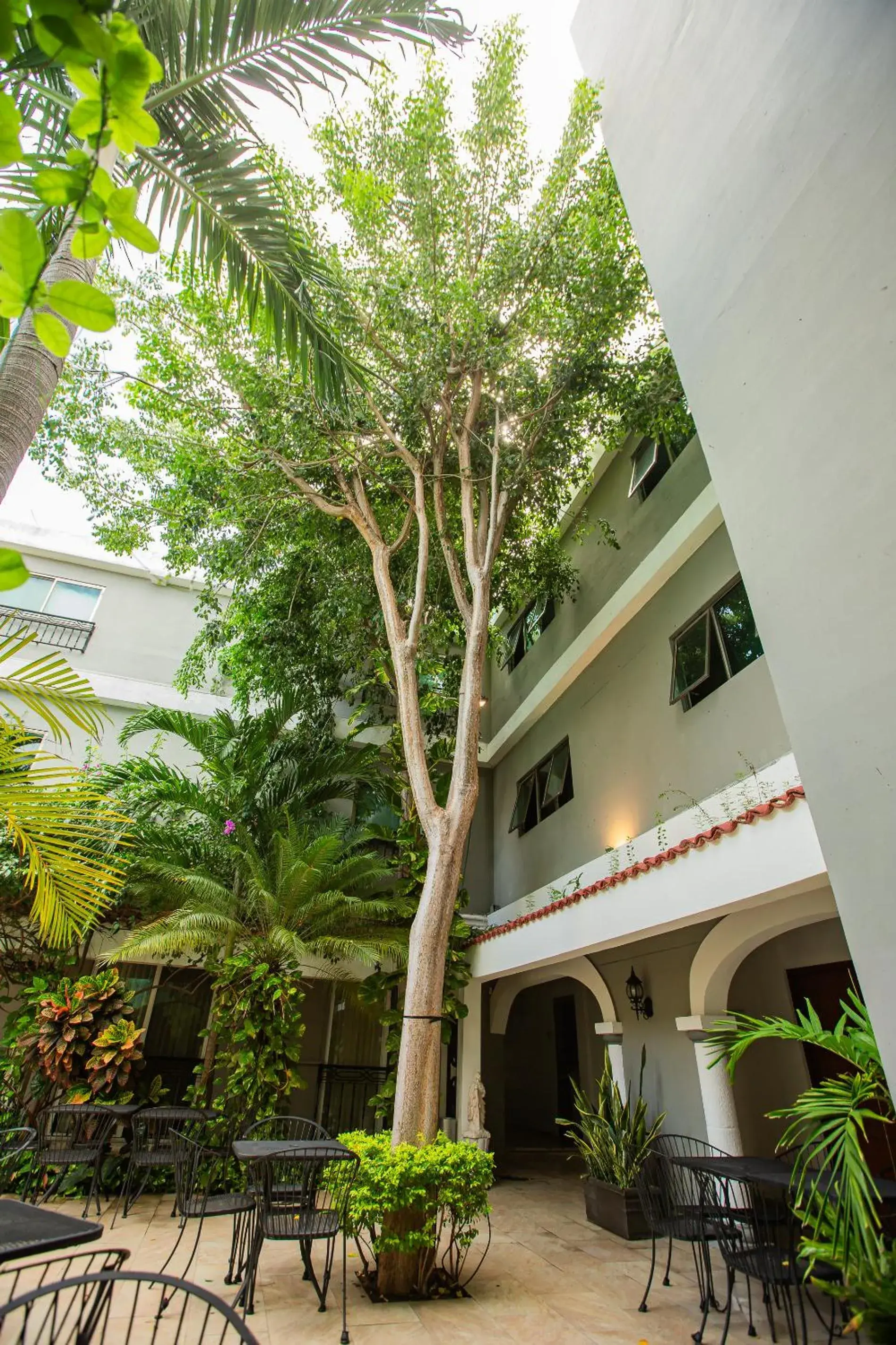 Garden, Property Building in Hotel Nacional Merida