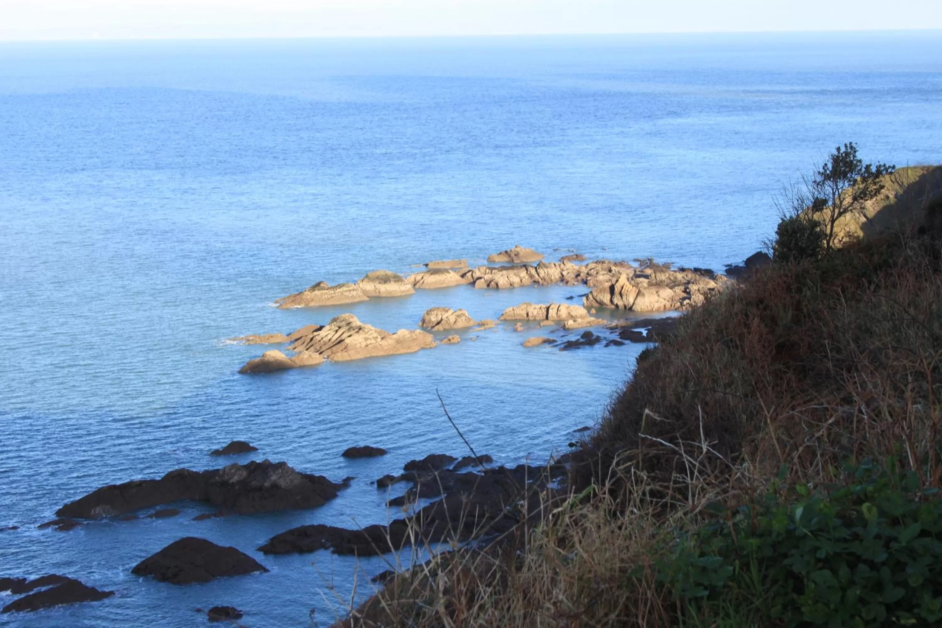 Location in The Olive Branch