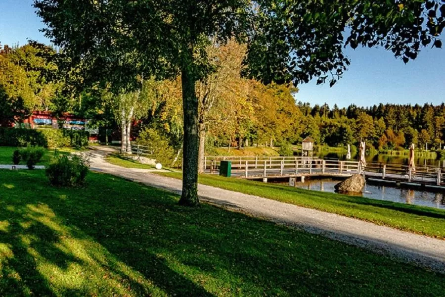 Garden view in Hotel Hausschachen