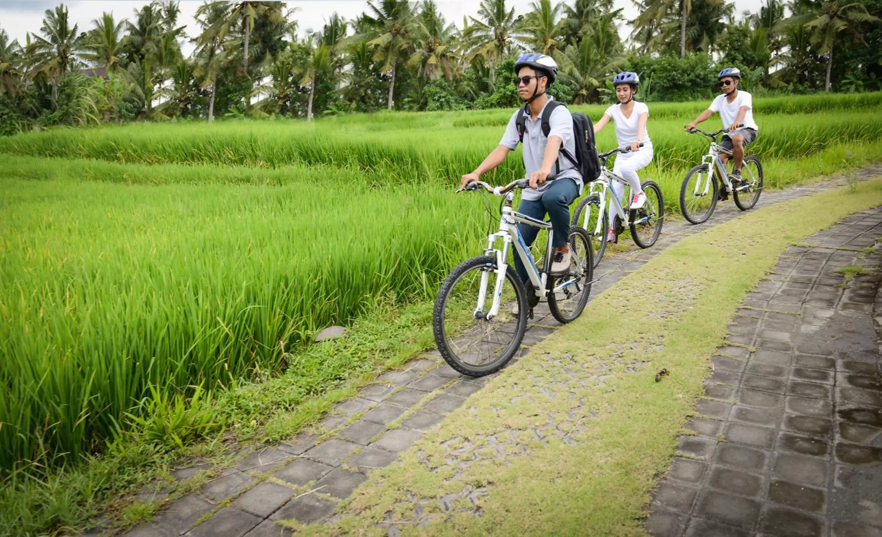 Other, Horseback Riding in Purana Boutique Resort