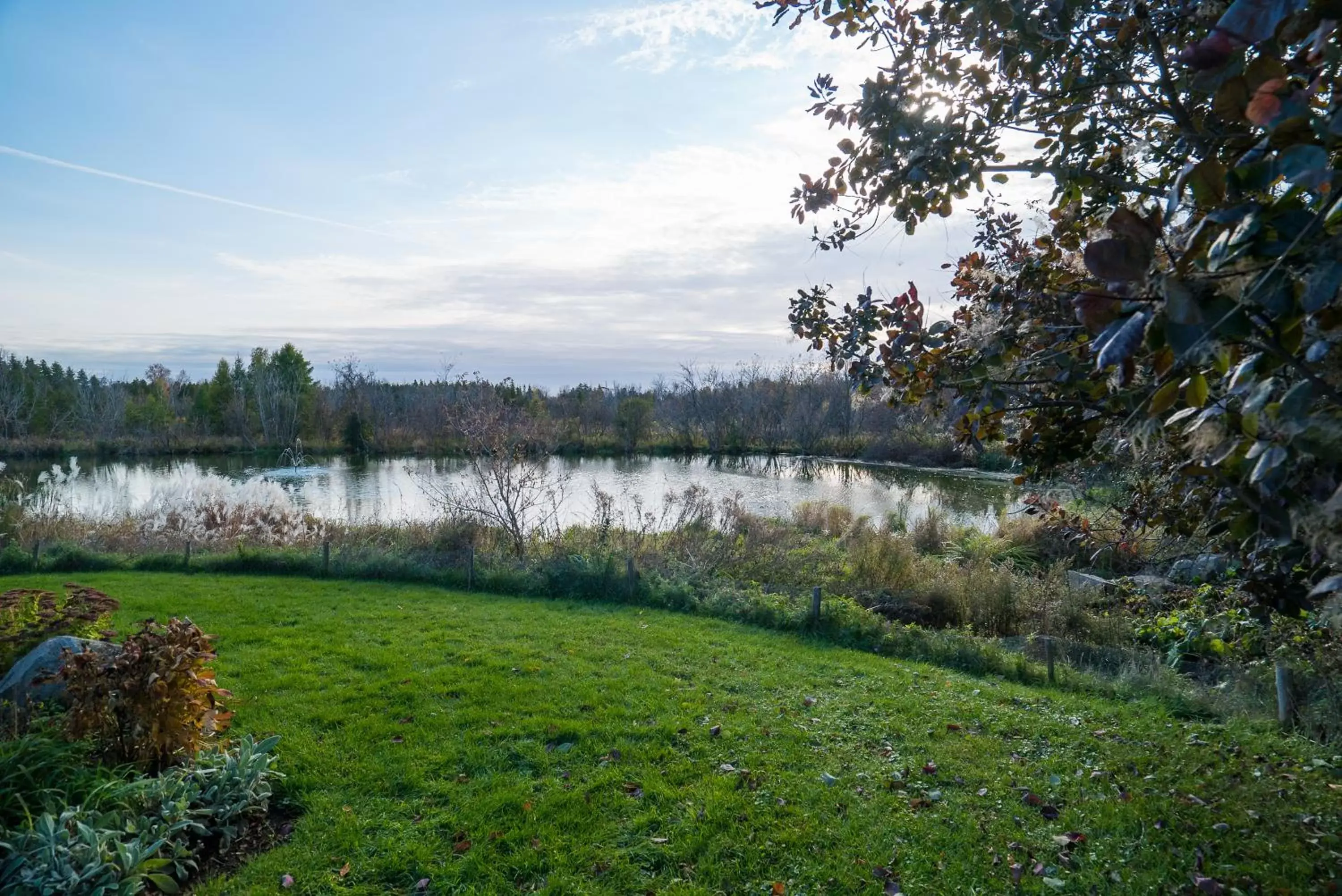 Natural landscape in Auberge des Gallant