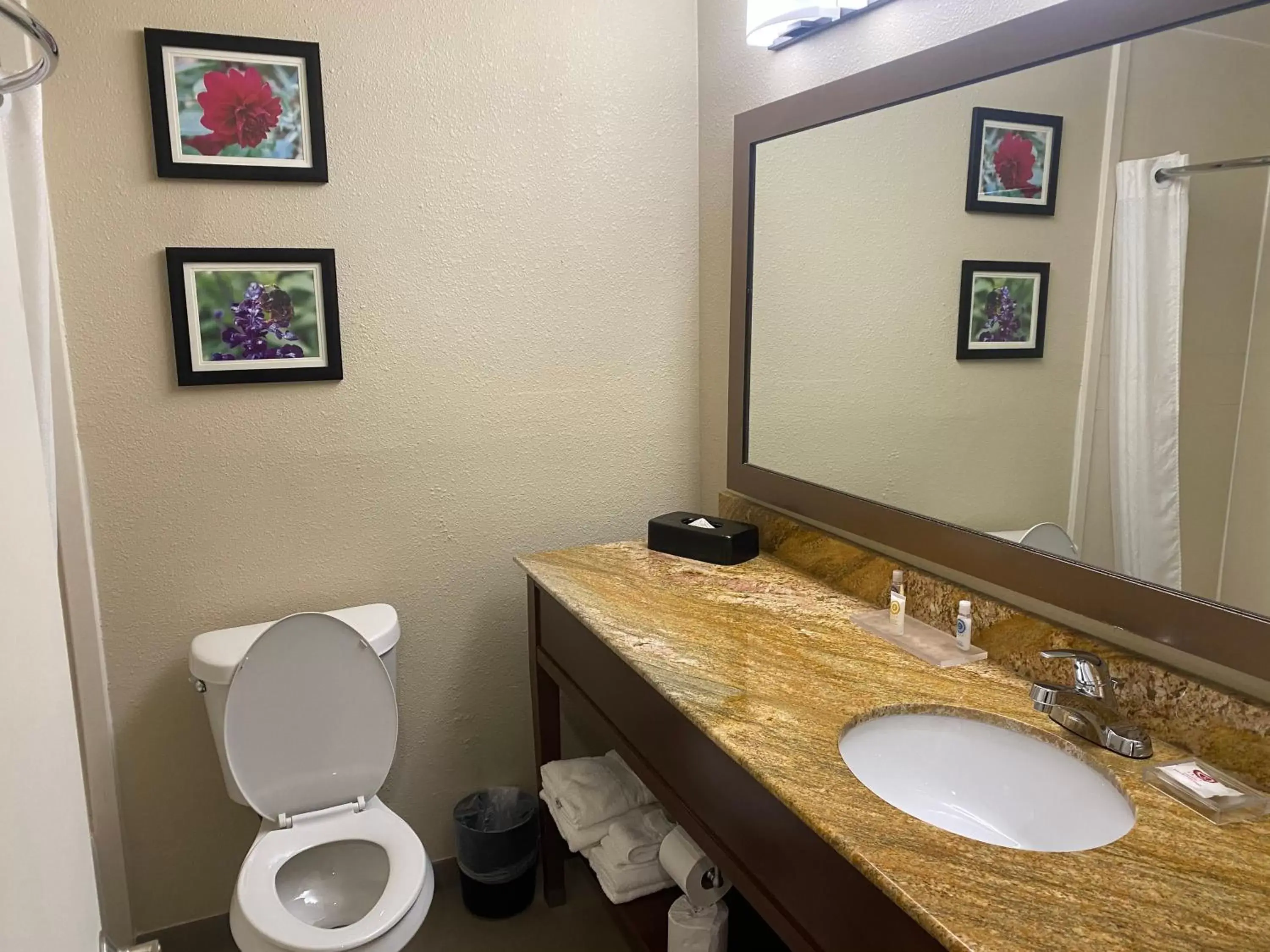 Bathroom in Comfort Inn & Suites Temple