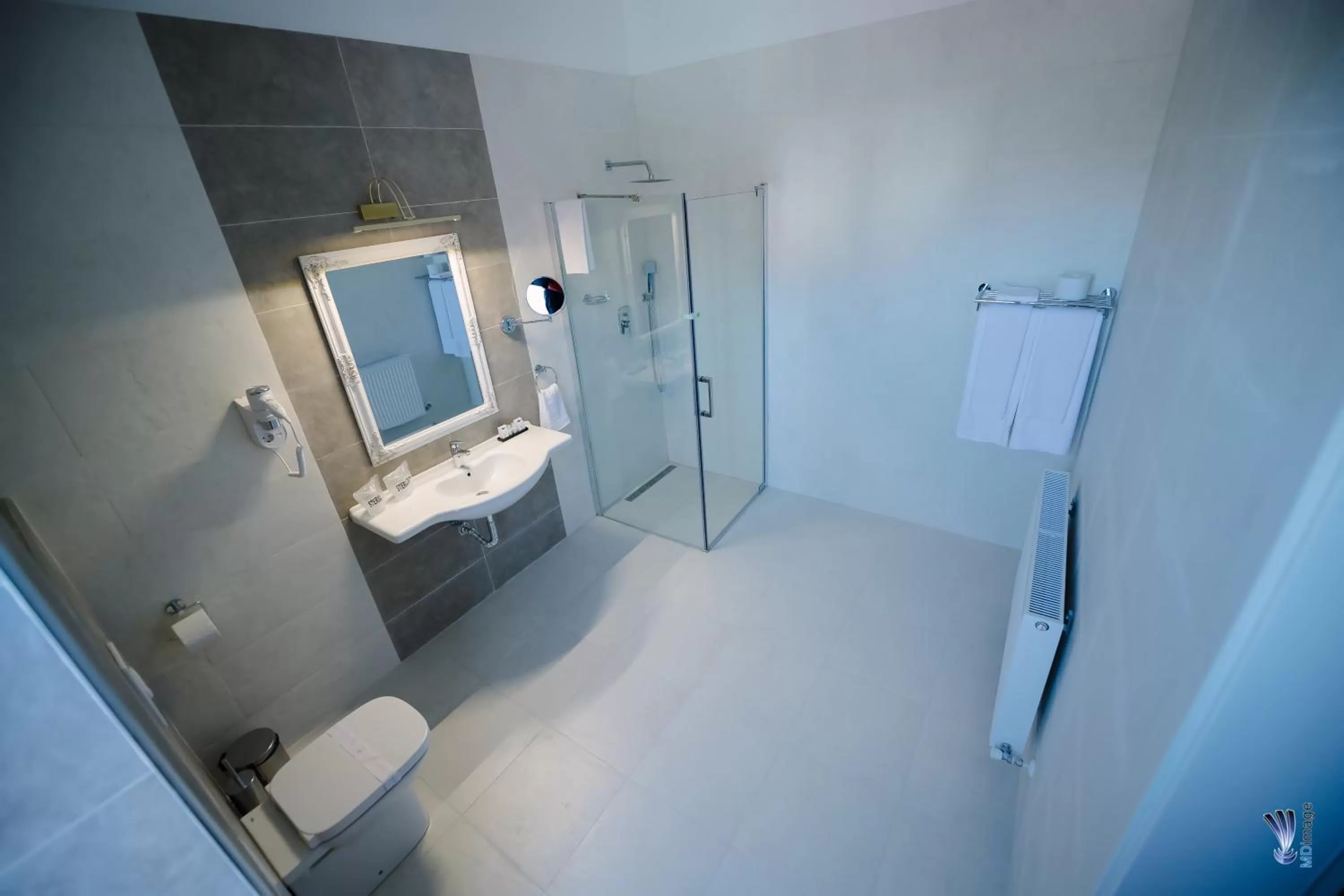 Bathroom in Hotel La Belle Epoque