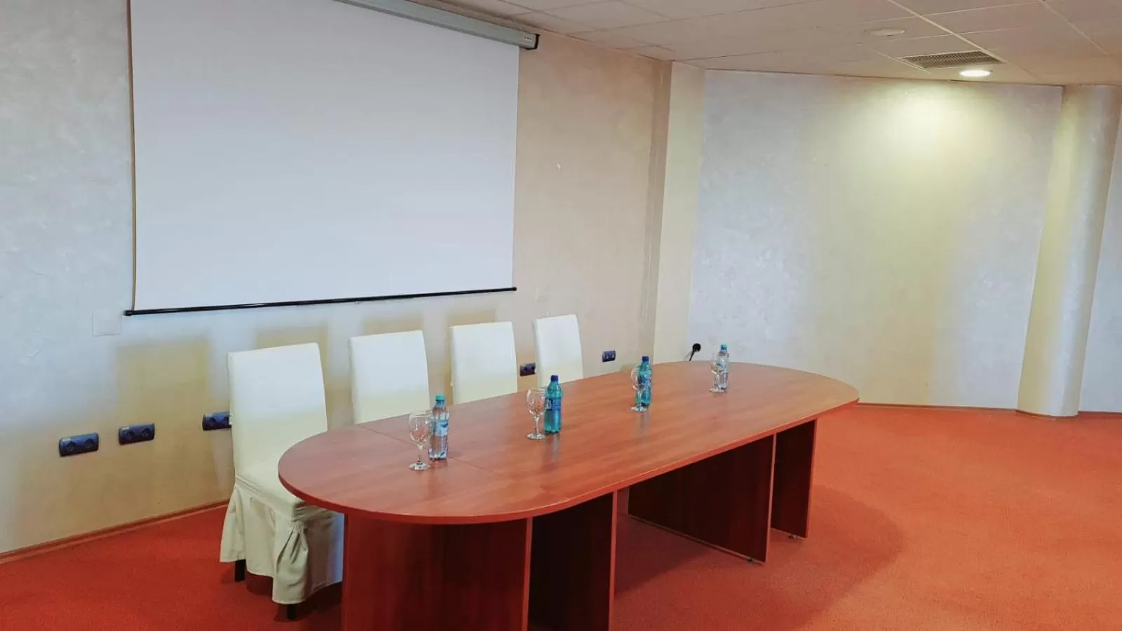 Business facilities in Hotel Terra Balneo&Spa