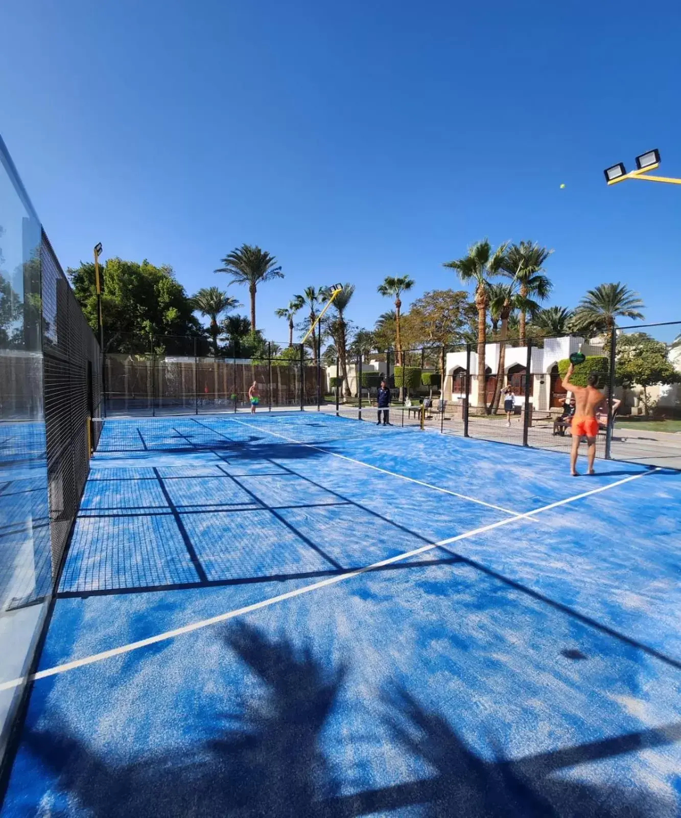 Sports, Swimming Pool in ZYA Regina Resort and Aqua Park Hurghada