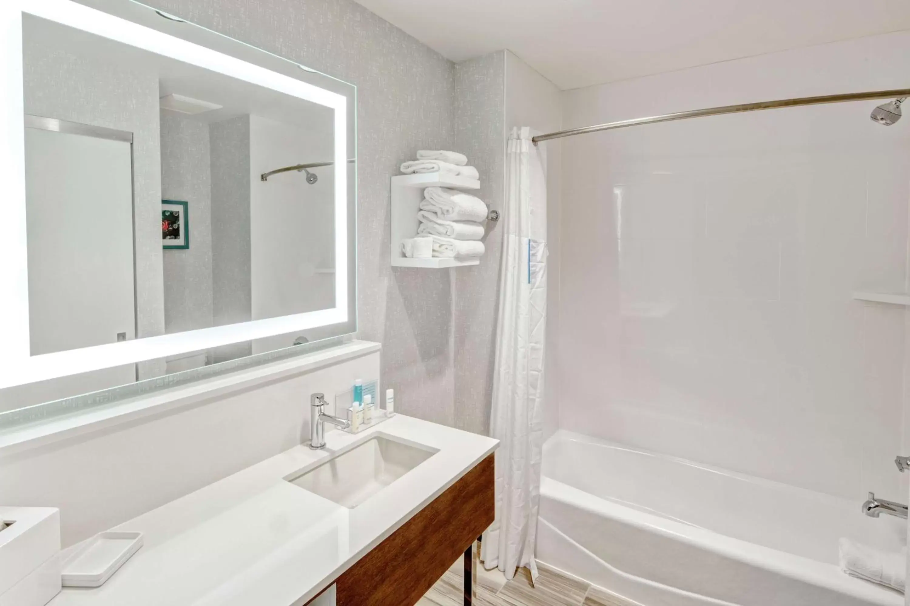 Bathroom in Hampton by Hilton Encinitas-Cardiff Beach Area