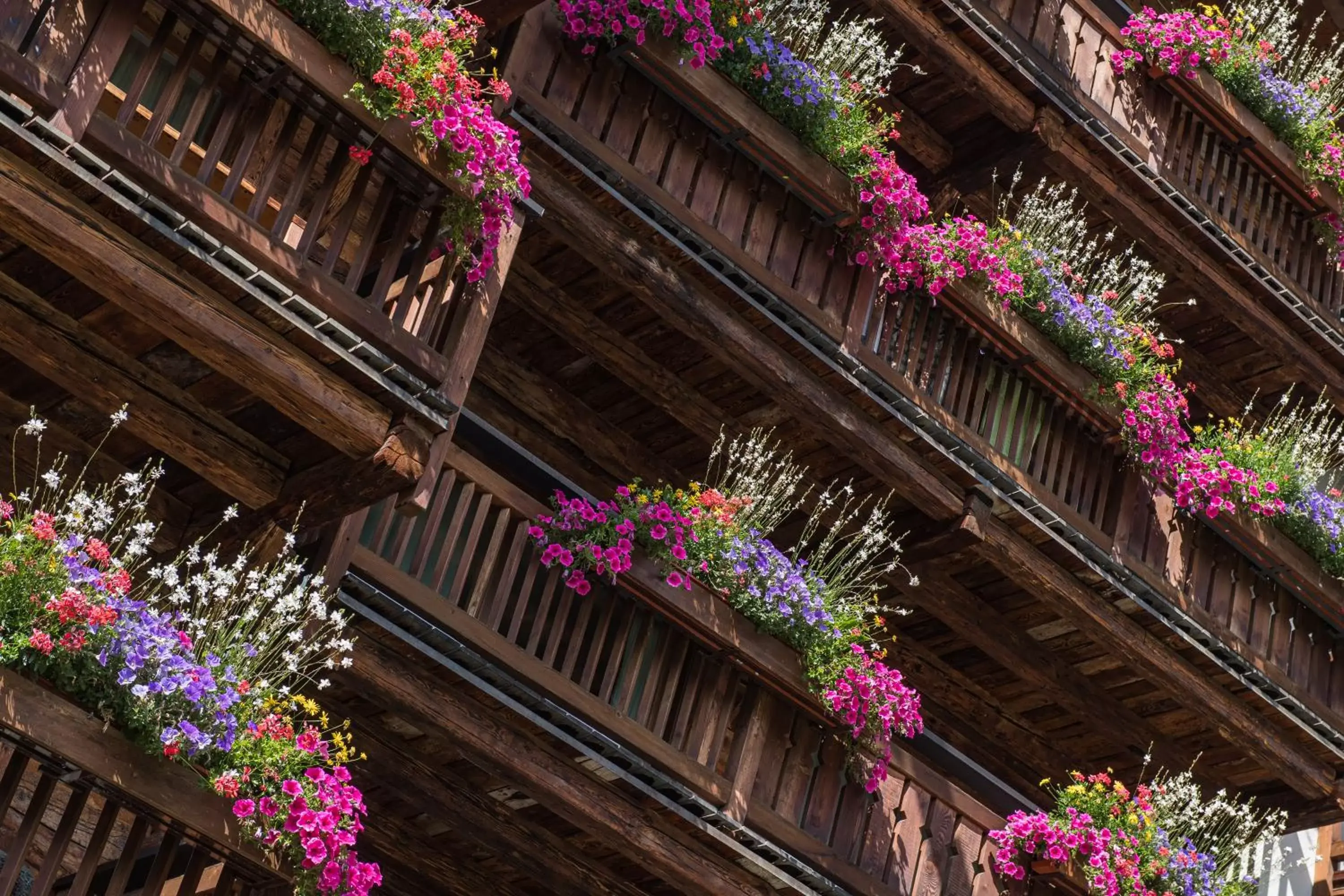 Summer, Balcony/Terrace in Matterhorn Lodge Boutique Hotel & Apartments