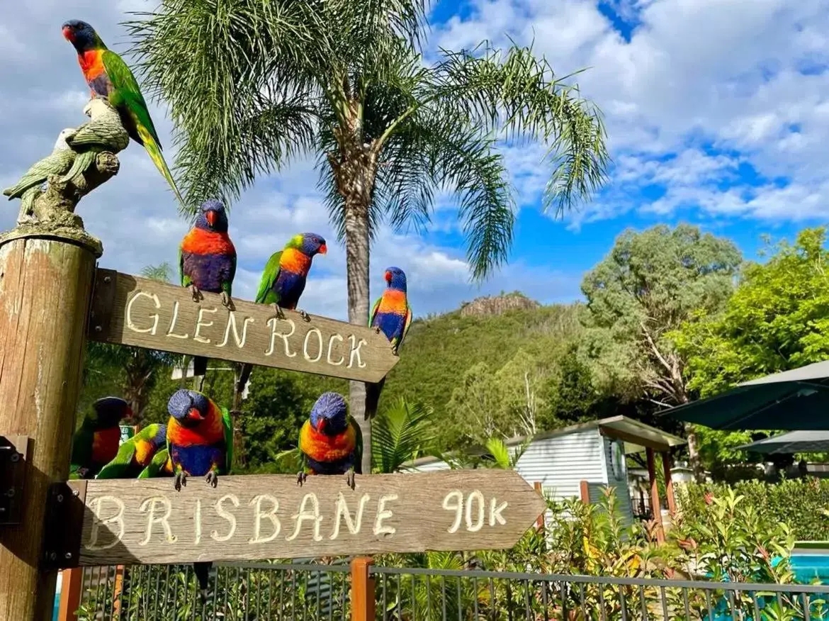 Natural landscape in Esk Caravan Park & Rail Trail Motel