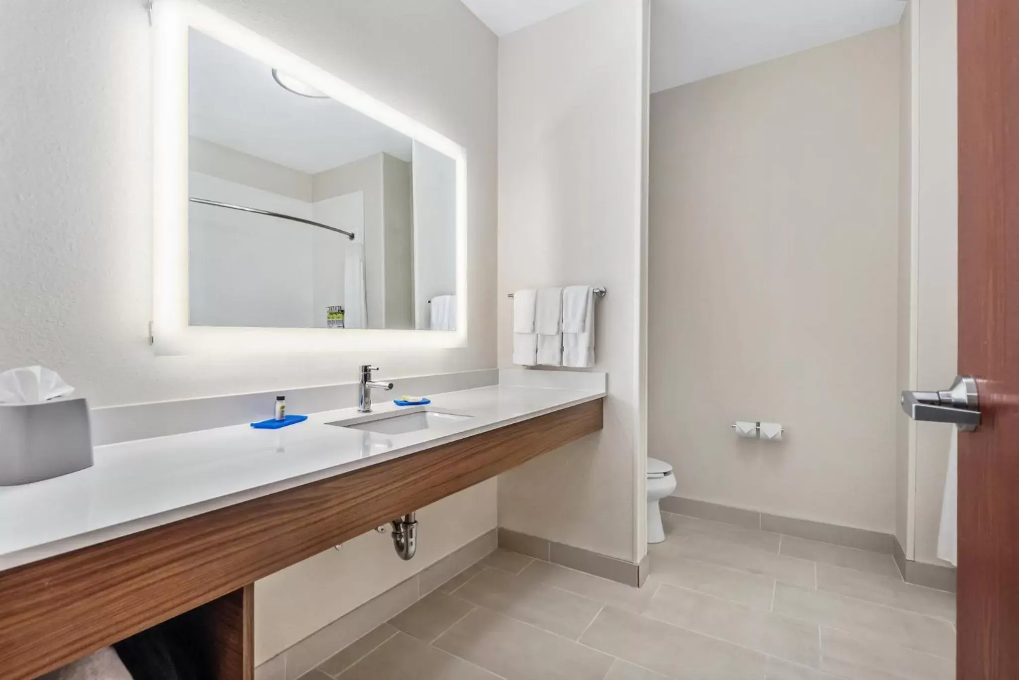 Bathroom in Holiday Inn Express & Suites Van Buren-Fort Smith Area, an IHG Hotel