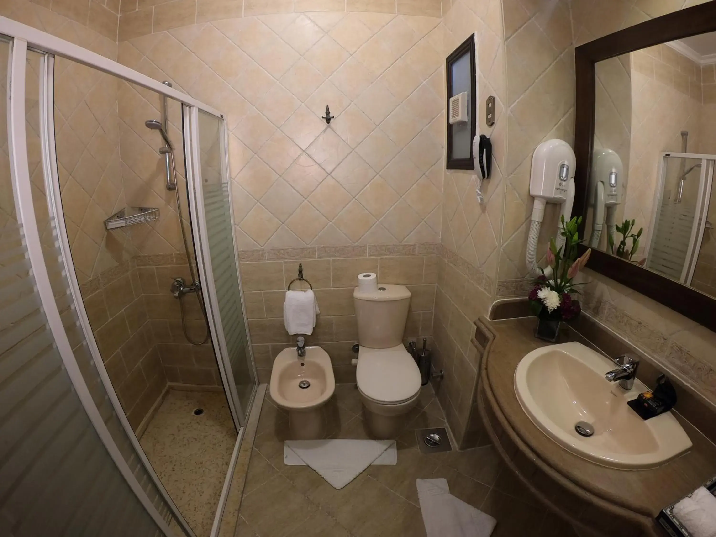 Toilet, Bathroom in Oriental Rivoli Hotel & Spa