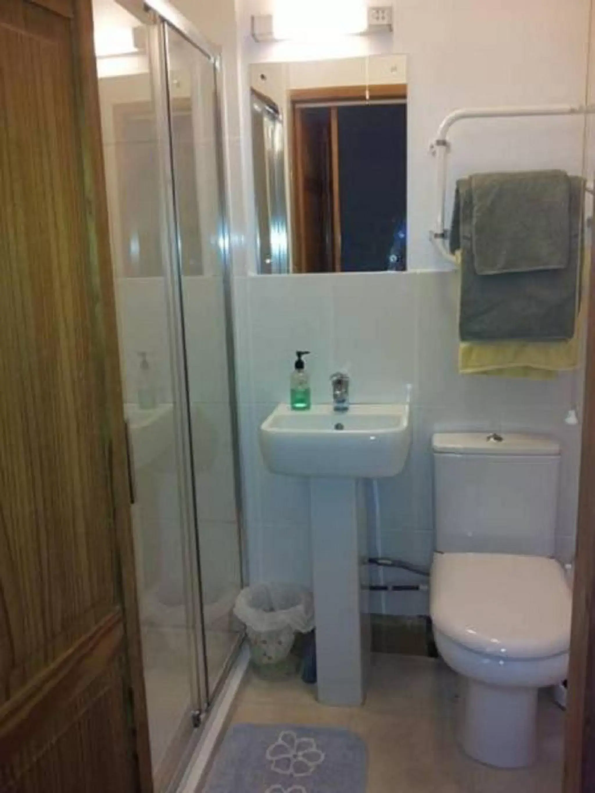 Bathroom in Bed and Breakfast Ashfield