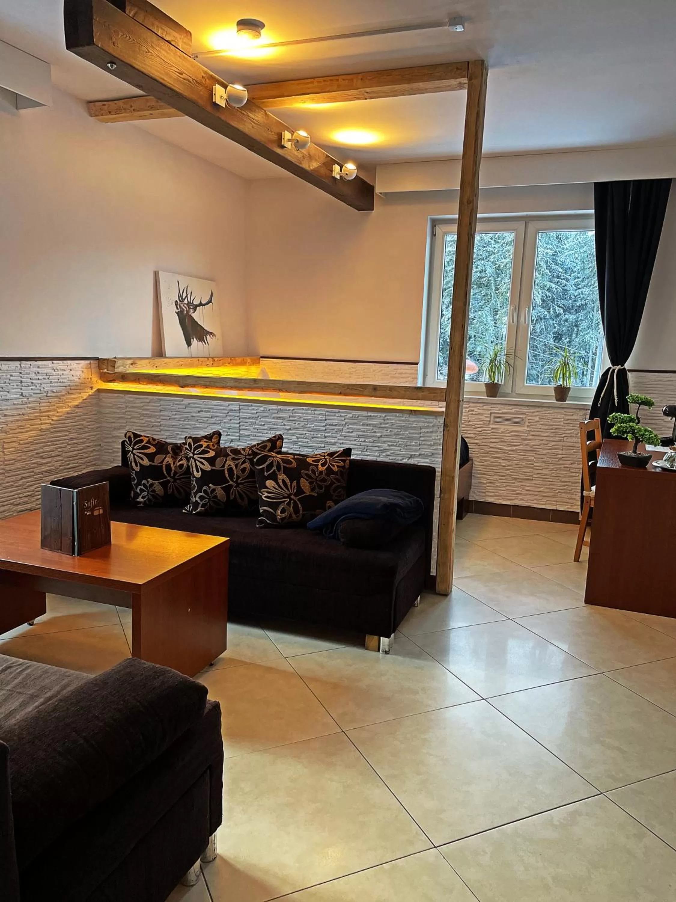 Living room, Seating Area in Safir przy samym WYCIĄGU