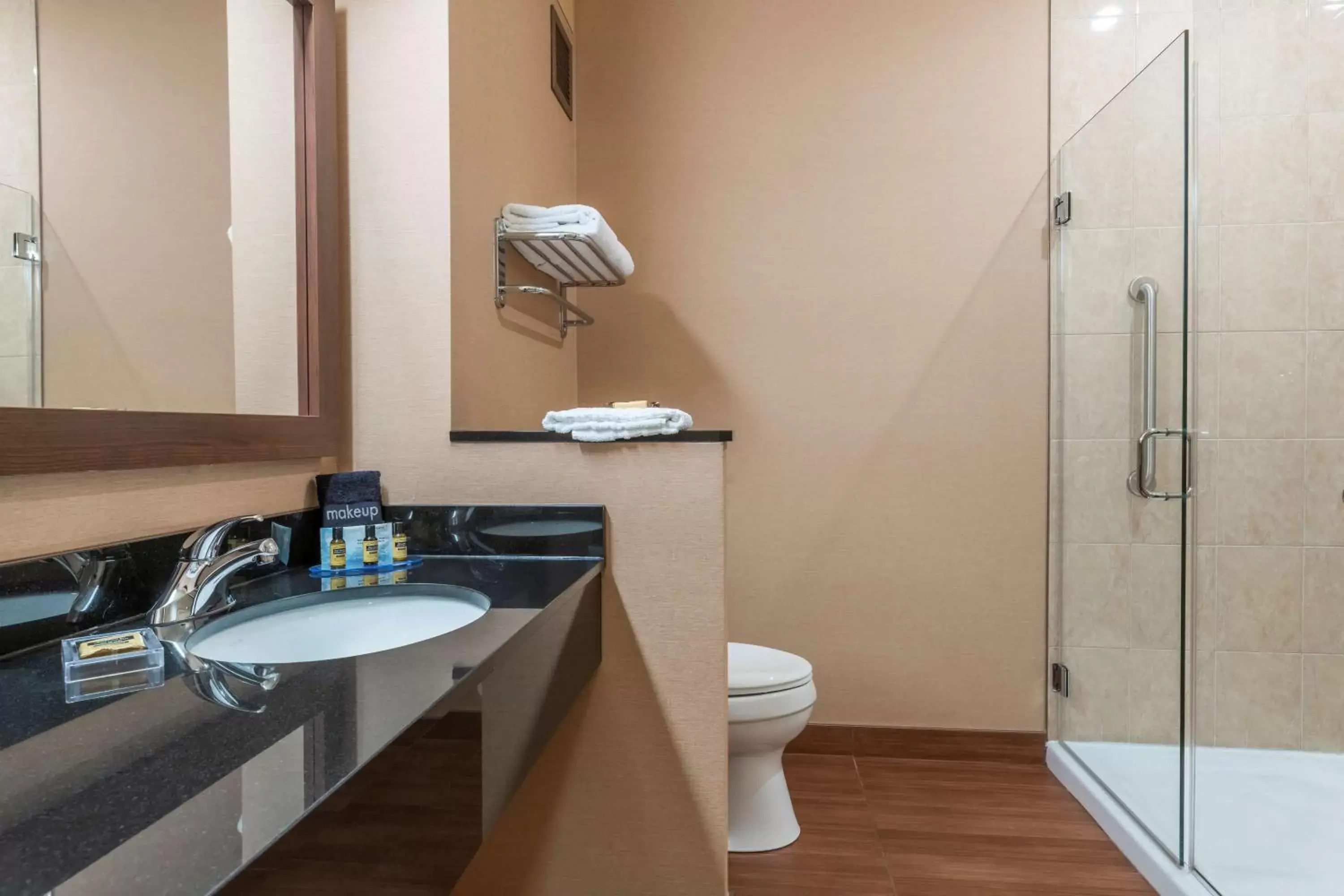 Bathroom in Best Western Plus, Bathurst Hotel & Suites
