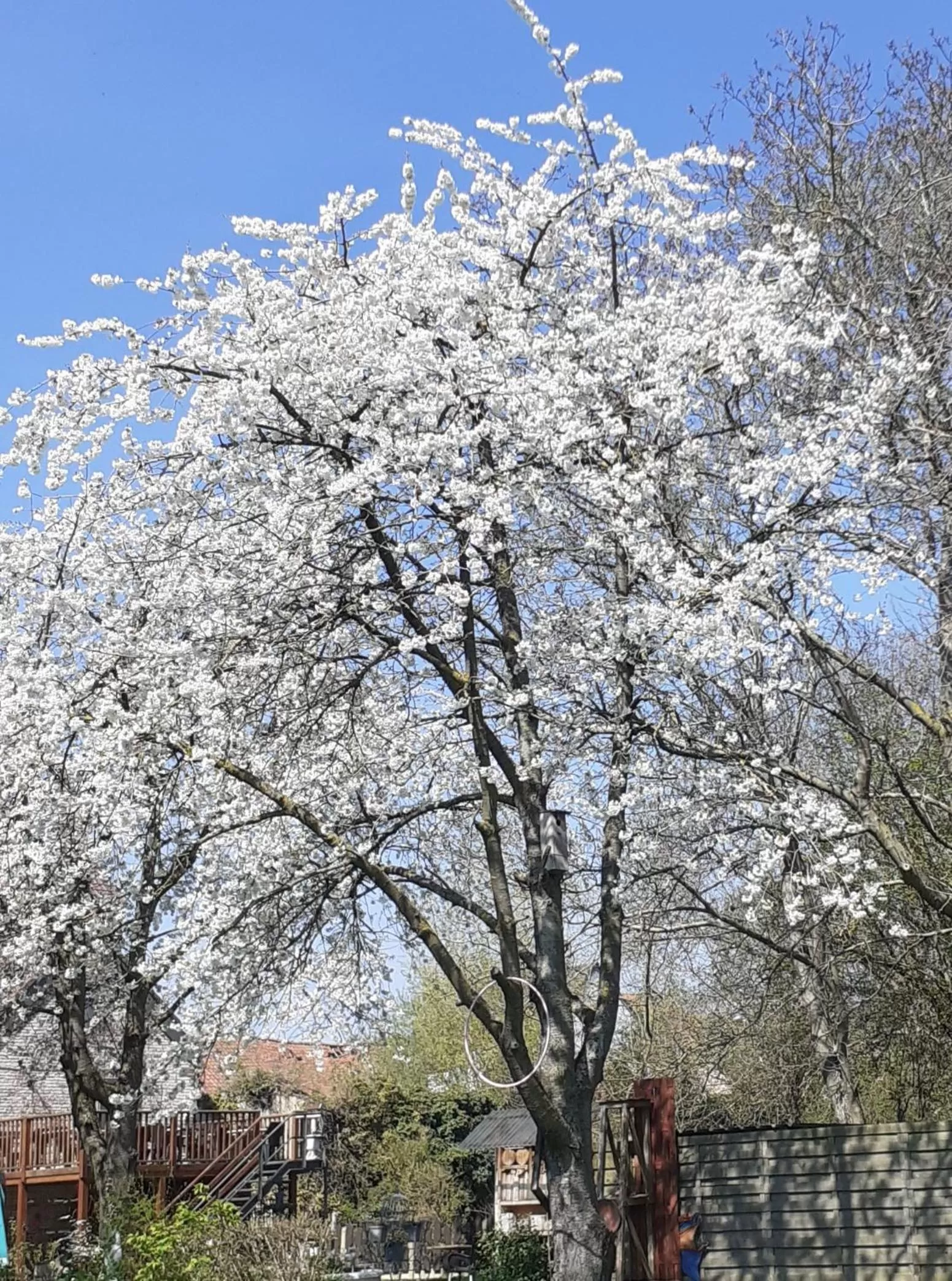 Spring in B&B De Dubbelmolen