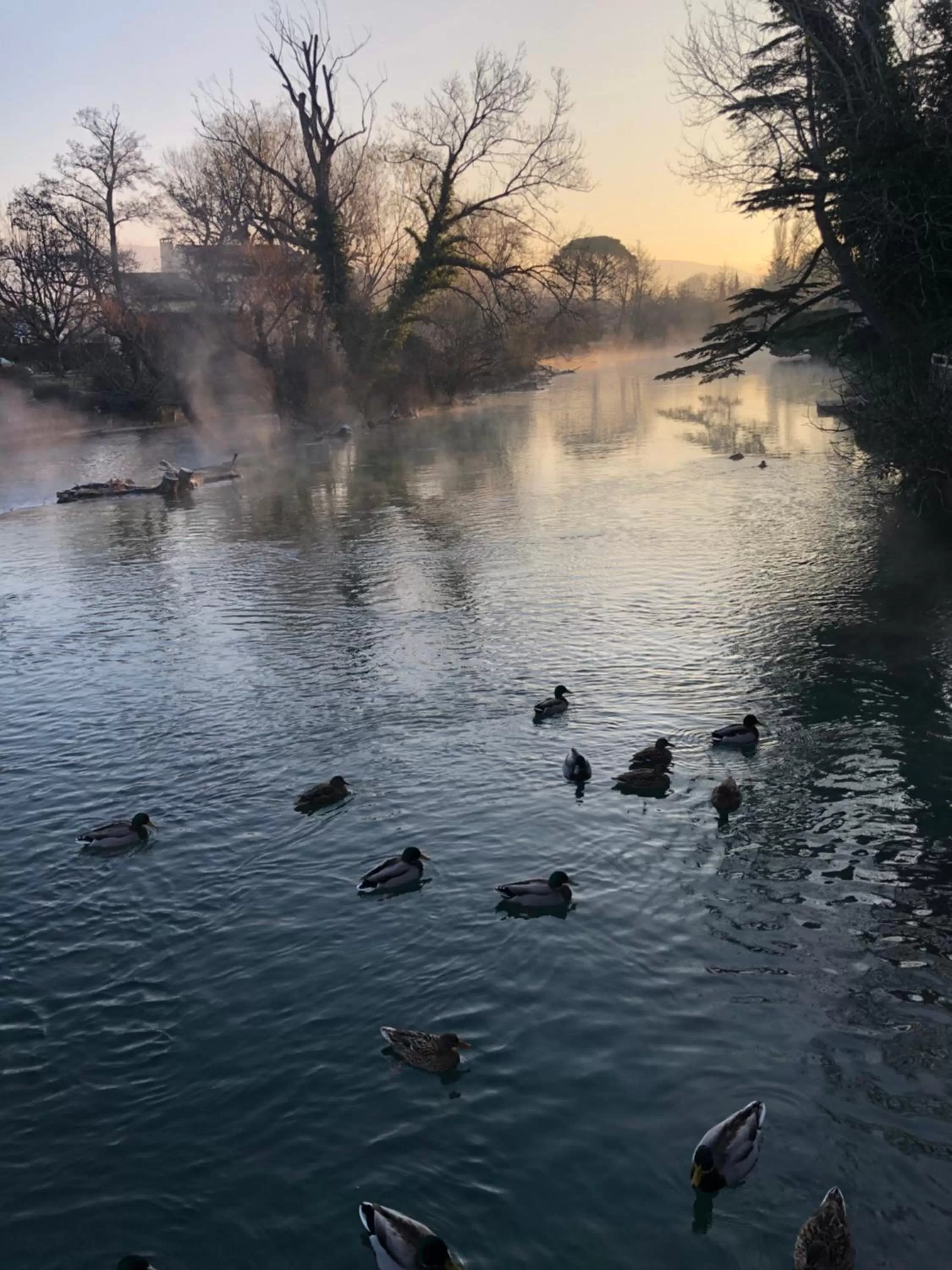 Natural landscape in Hotel Cantosorgue
