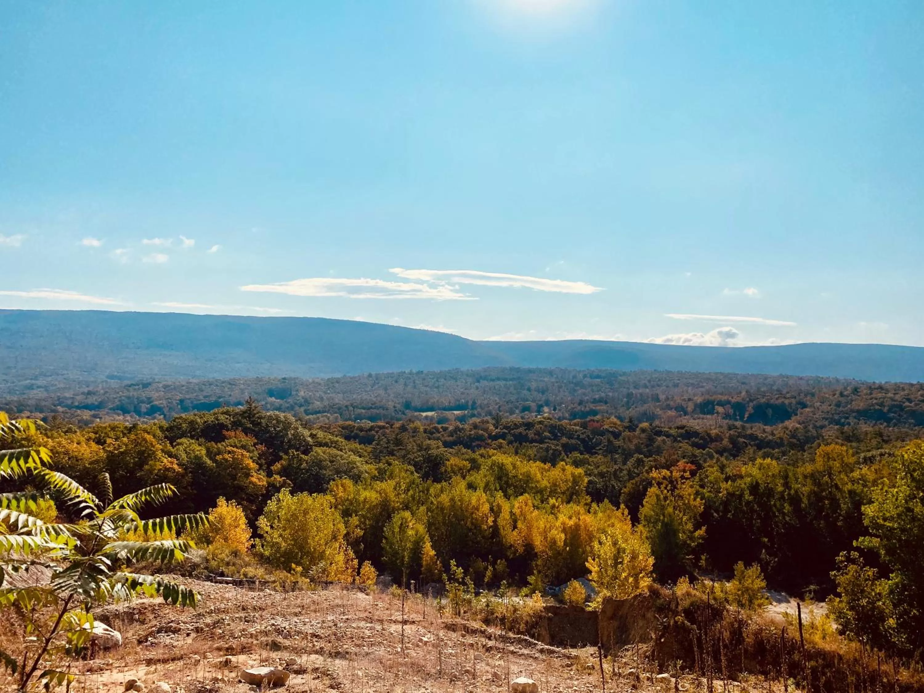 Arcady Mountain Motor Lodge