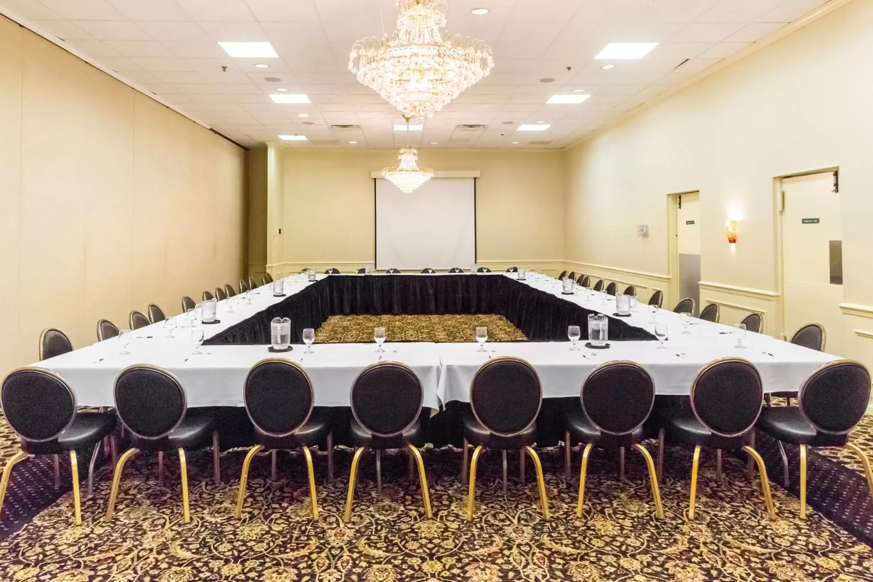 Banquet/Function facilities, Business Area/Conference Room in Park Inn By Radisson Sharon