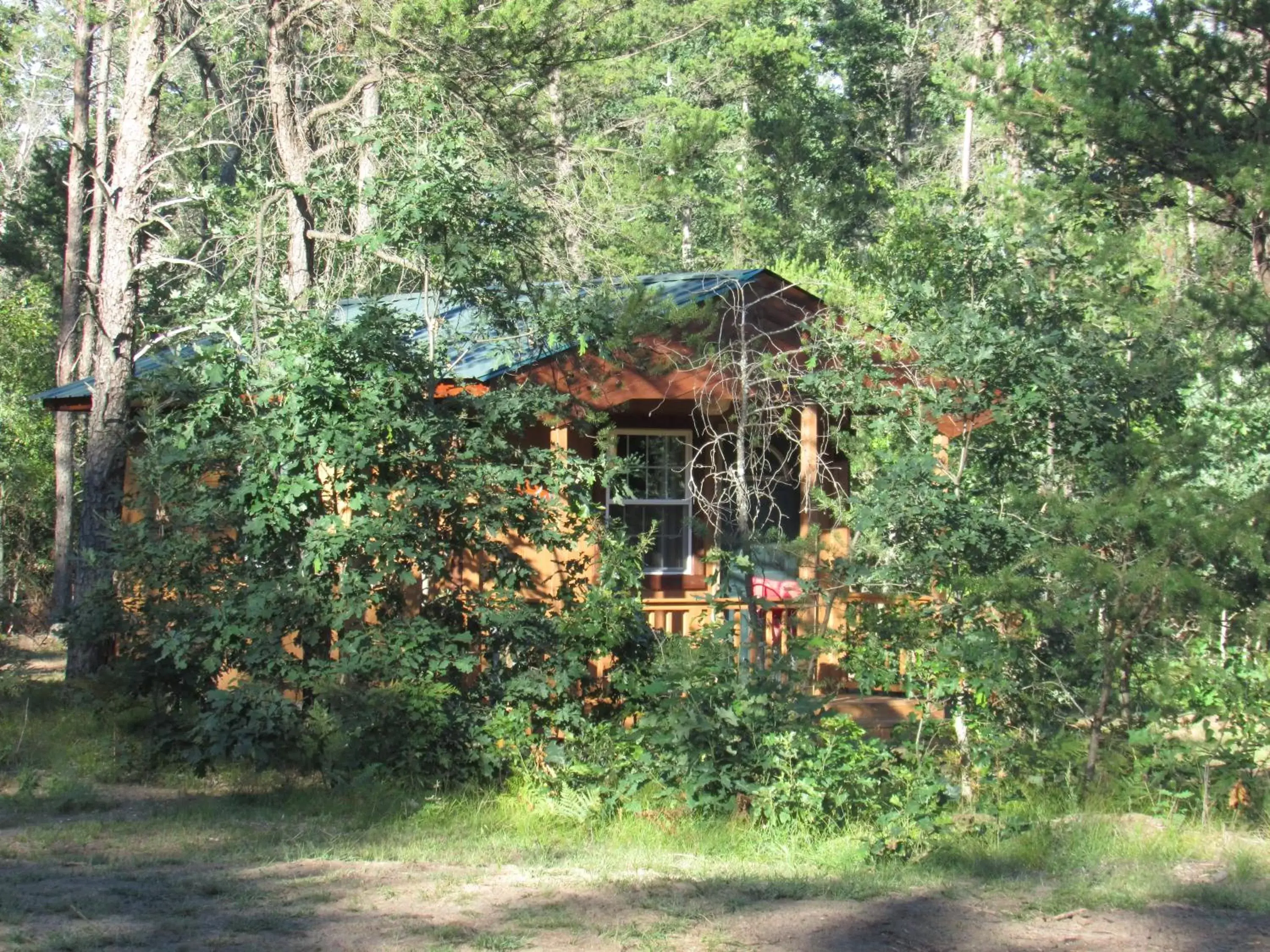 Garden in Best Bear Lodge