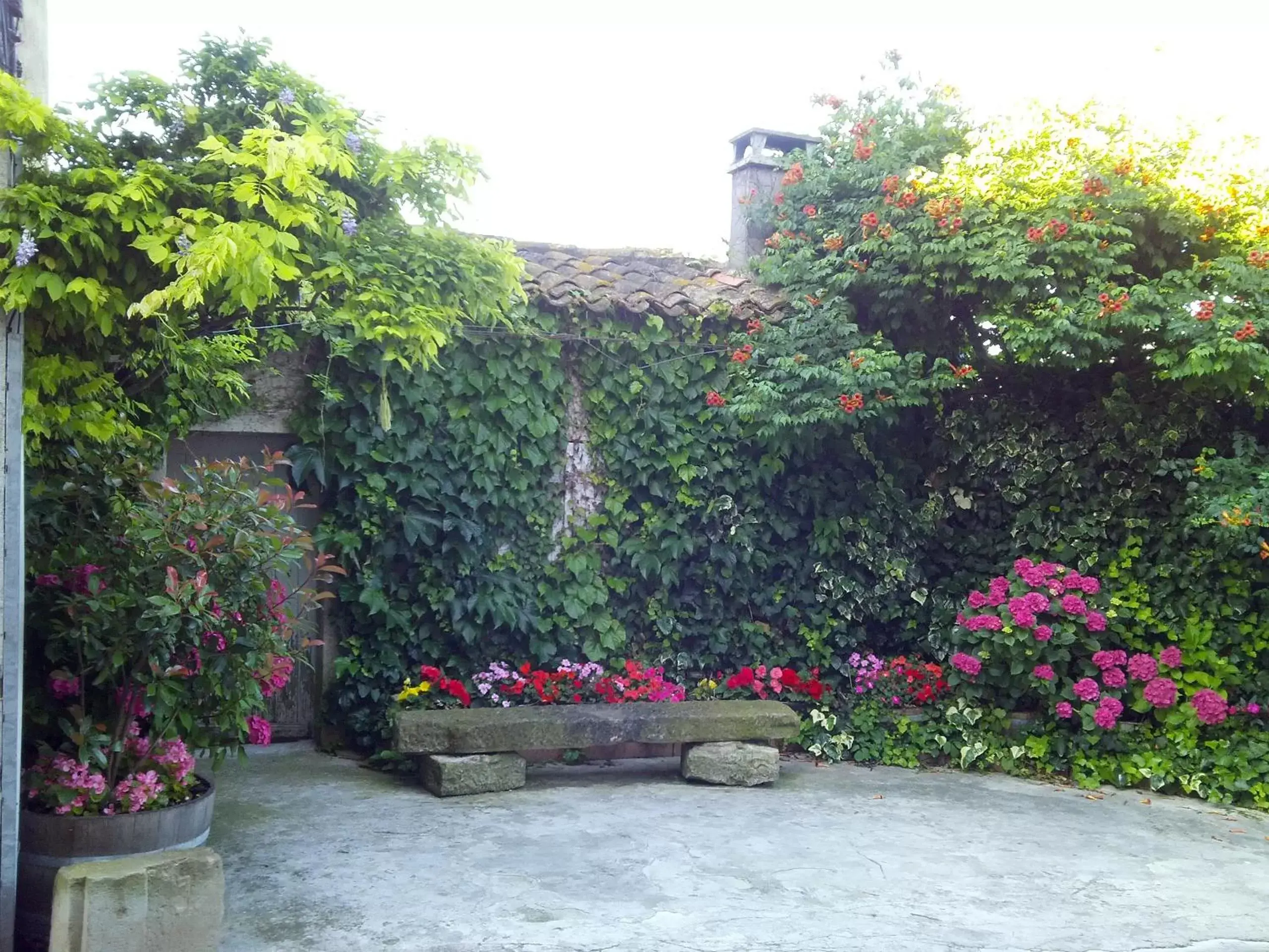 Garden in Riverside Home Cottage