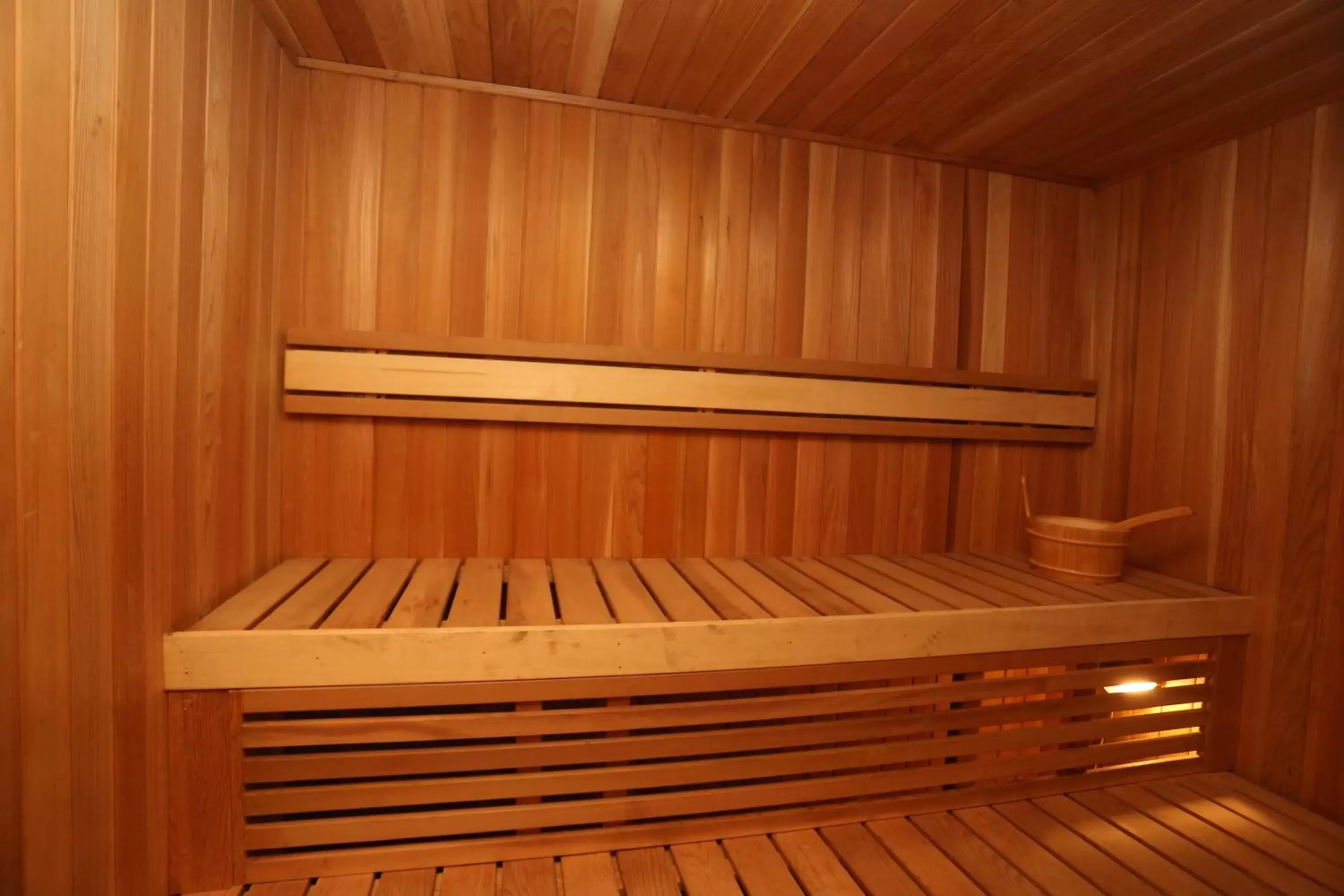 Sauna in Yatri Suites and Spa