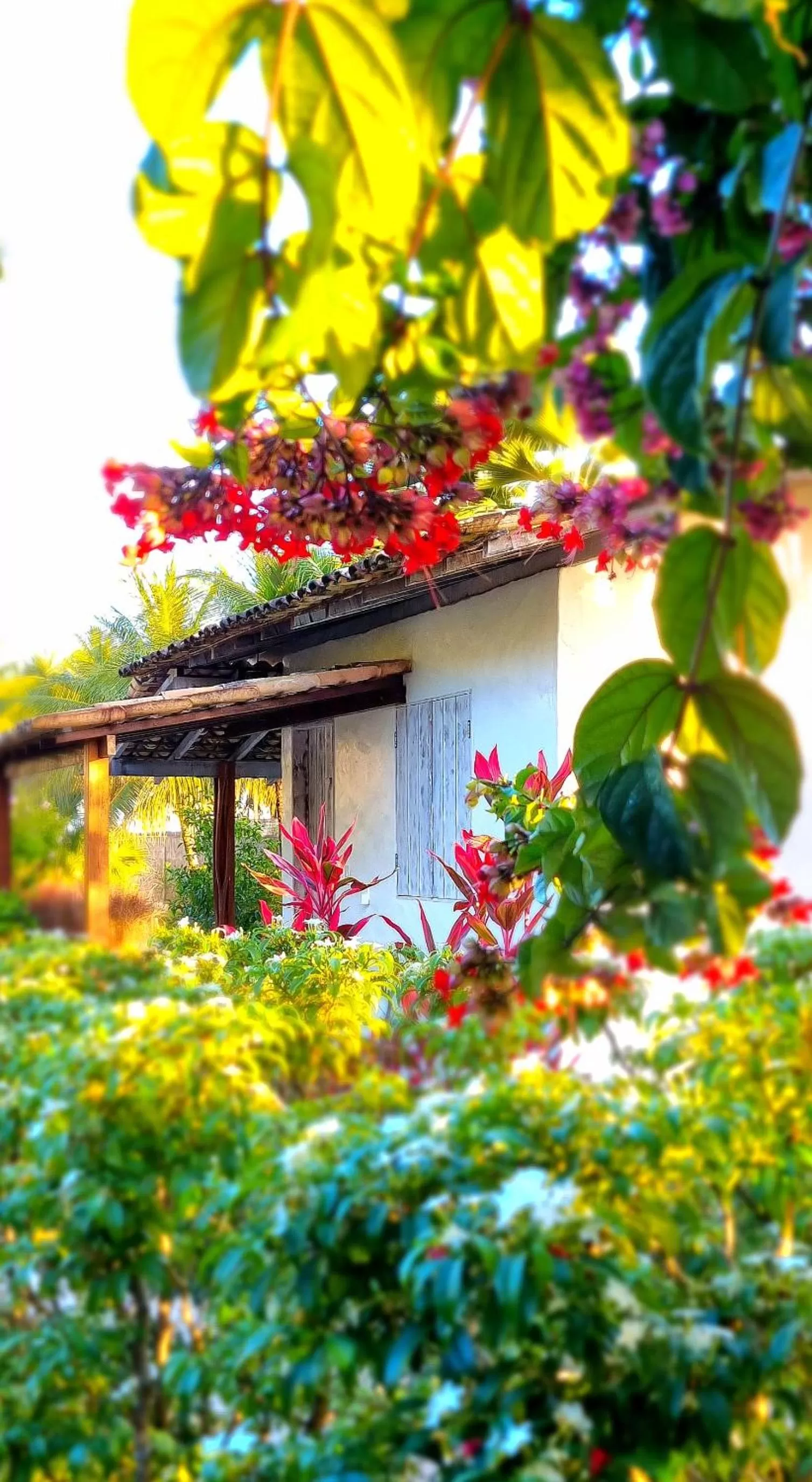 Bedroom in Pousada Villages Boutique Hotel - 150m da Praia da Laje