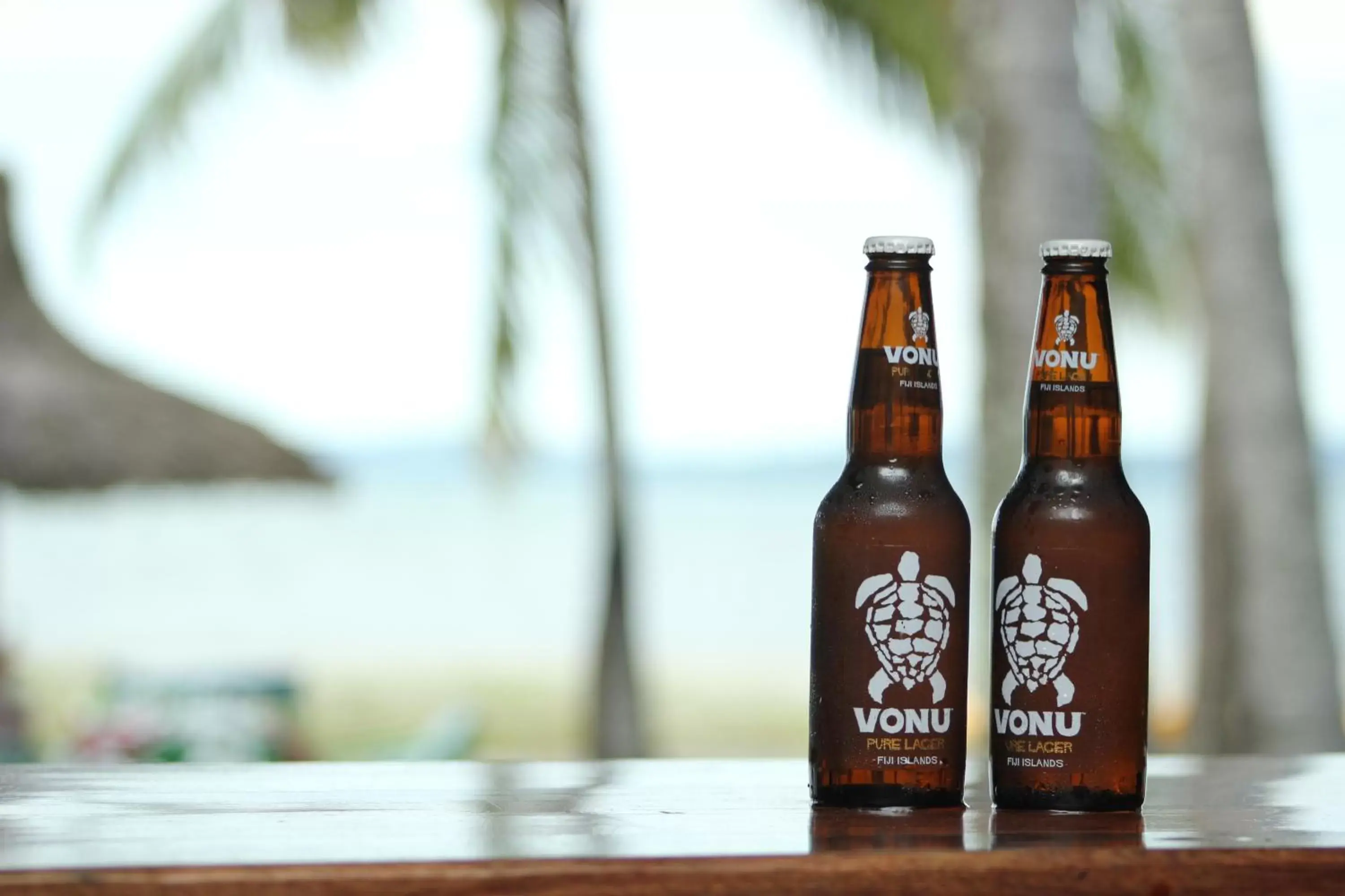 Food and drinks in Club Fiji Resort Food and drinks in Club Fiji Resort