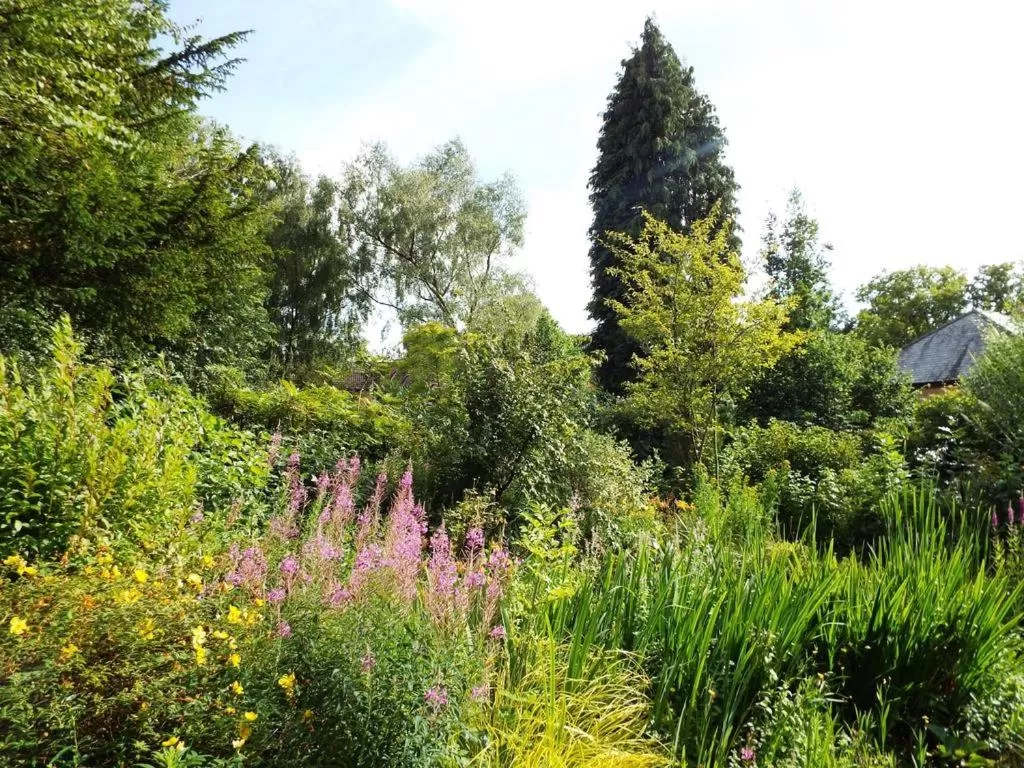 View (from property/room) in Old Vicarage B&B