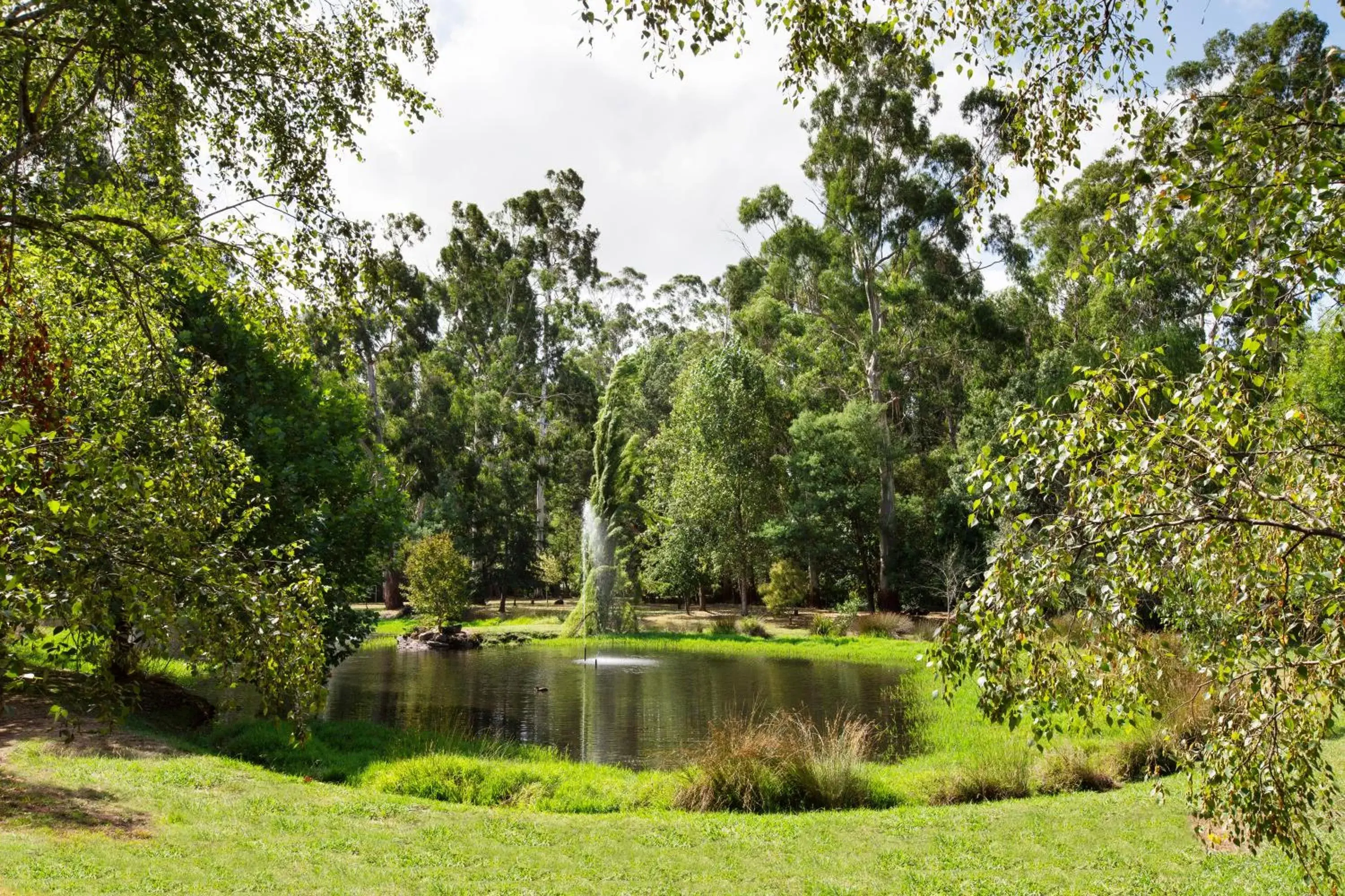 Area and facilities, Natural Landscape in Nightcap at York on Lilydale