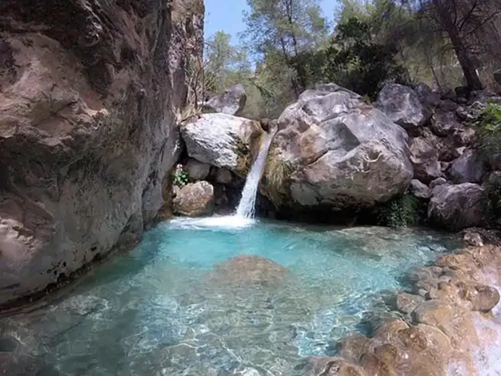 Natural Landscape in Hotel Plaza Cavana