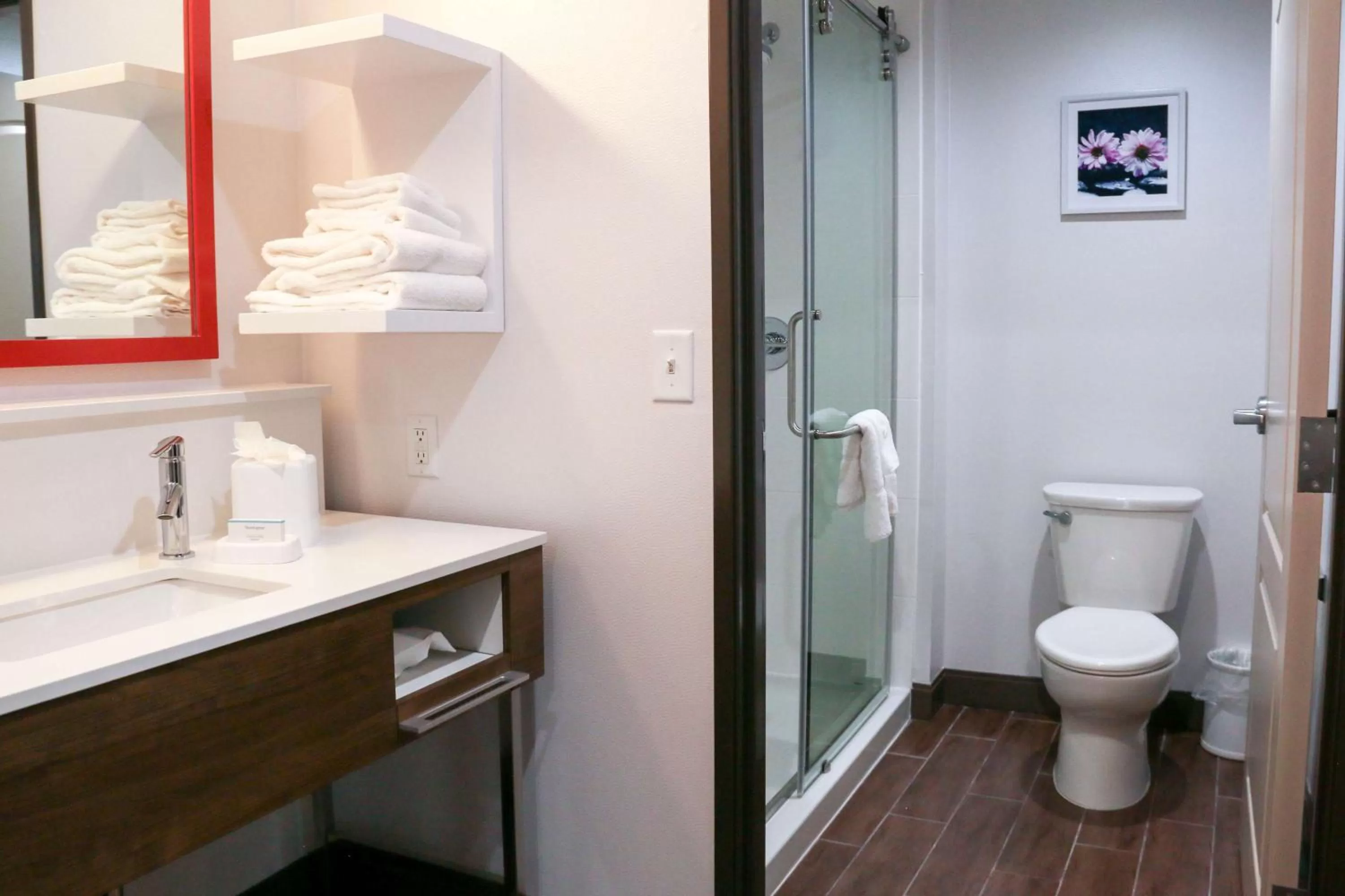 Bathroom in Hampton Inn & Suites Lafayette