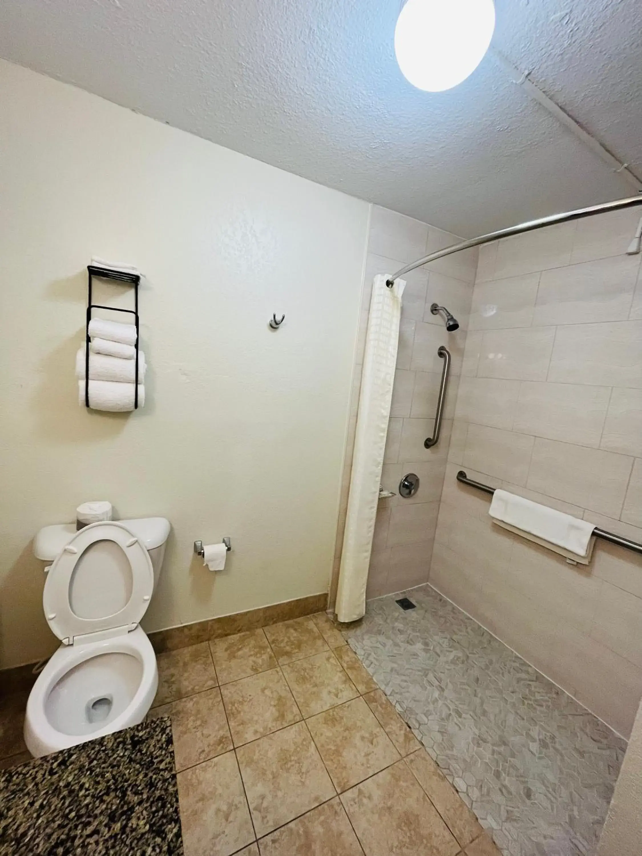 Bathroom in Rodeway Inn