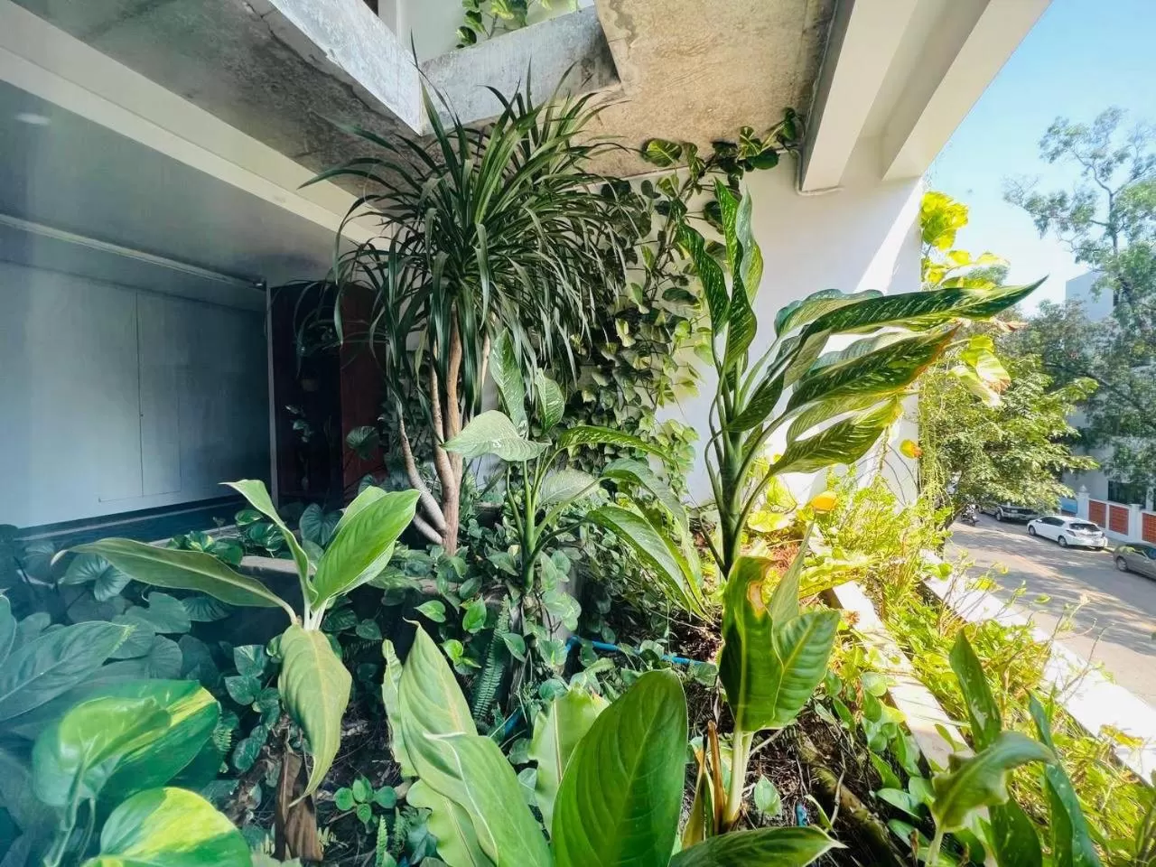 Garden view in UTEY Hotel