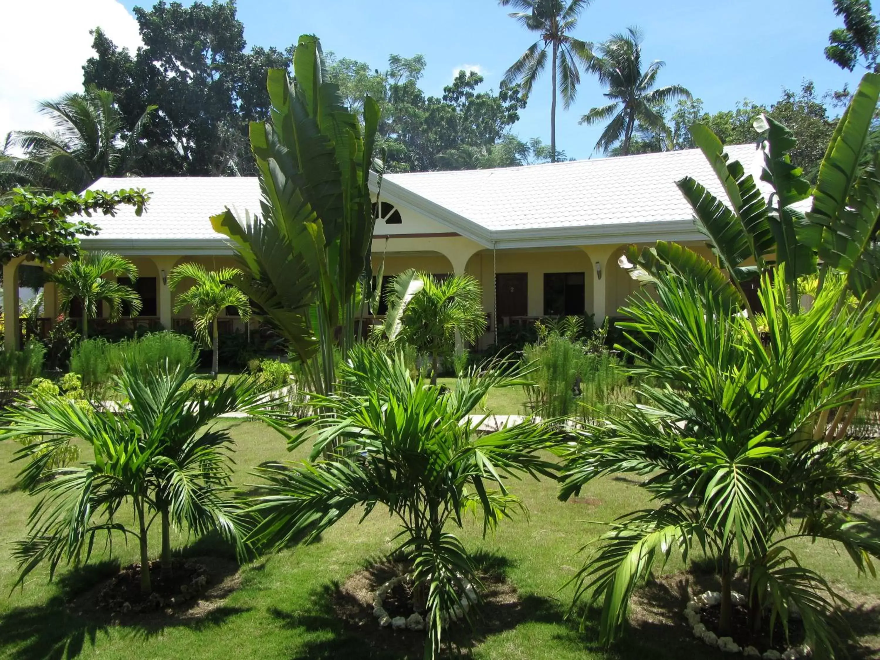 Garden, Property Building in Bohol Sunside Resort