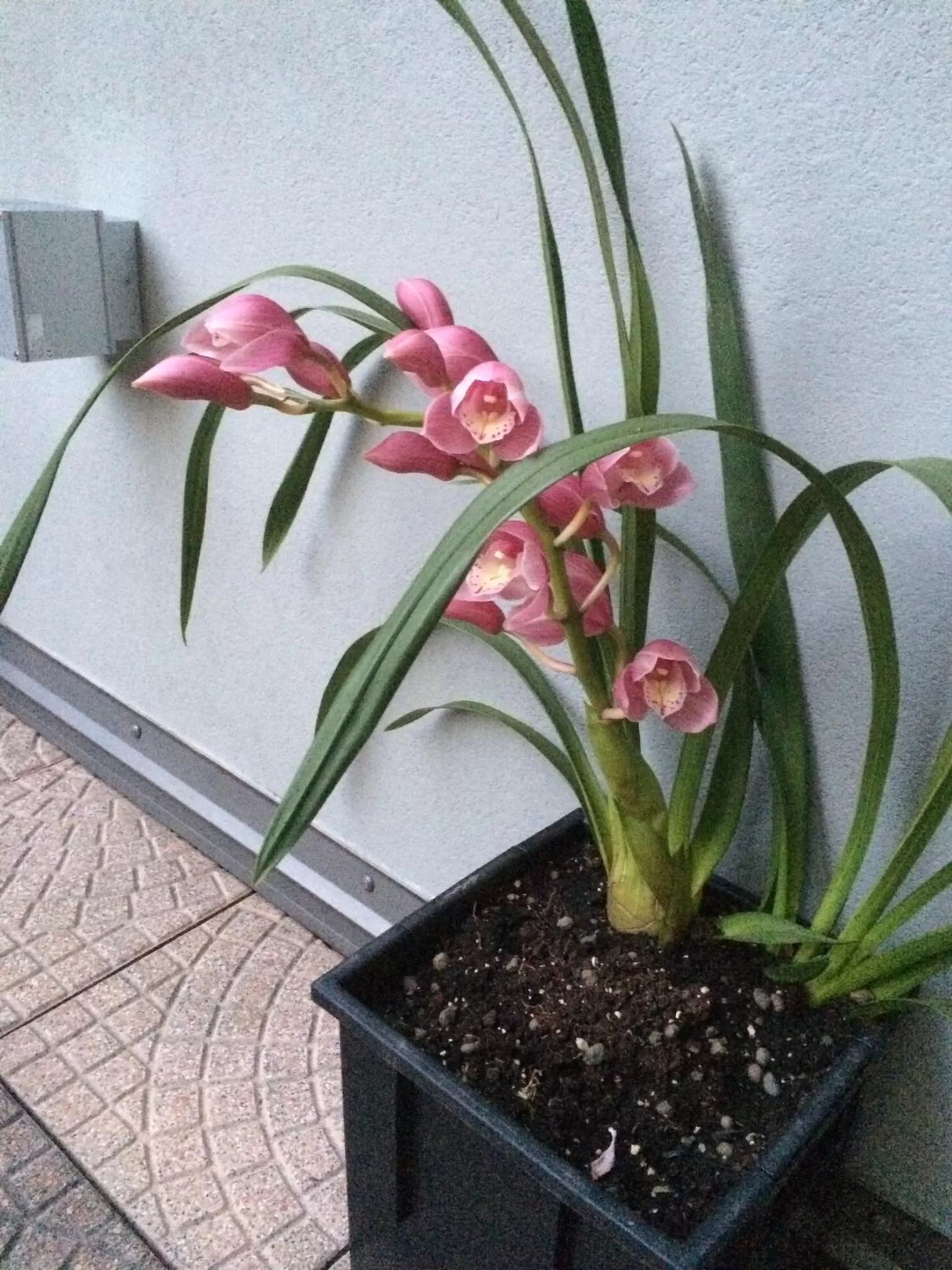 Smart House Rental Rooms FREE PARKING