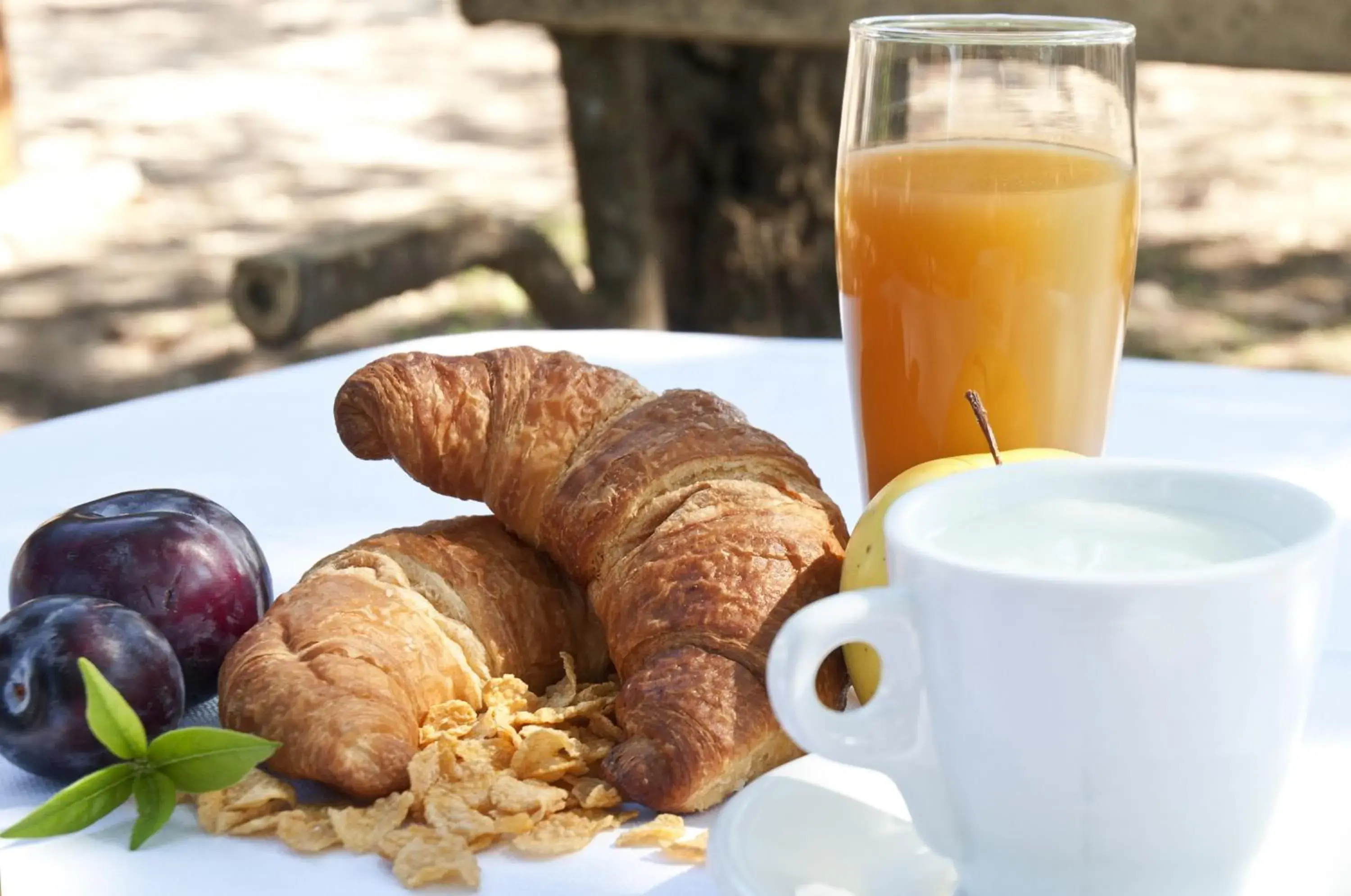 Buffet breakfast, Breakfast in Agriturismo Fasano