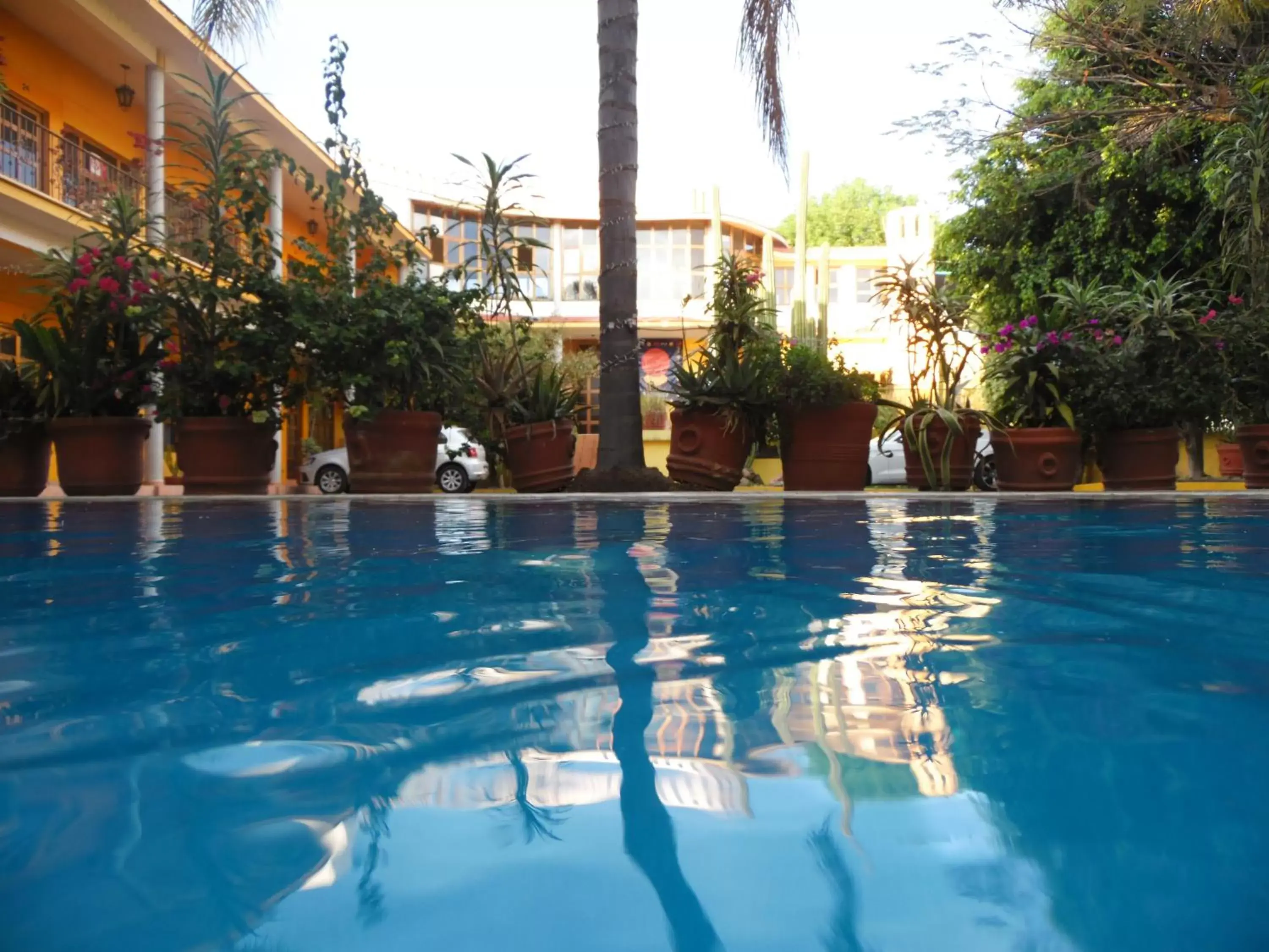 Pool view, Swimming Pool in Hotel Plaza del Sol